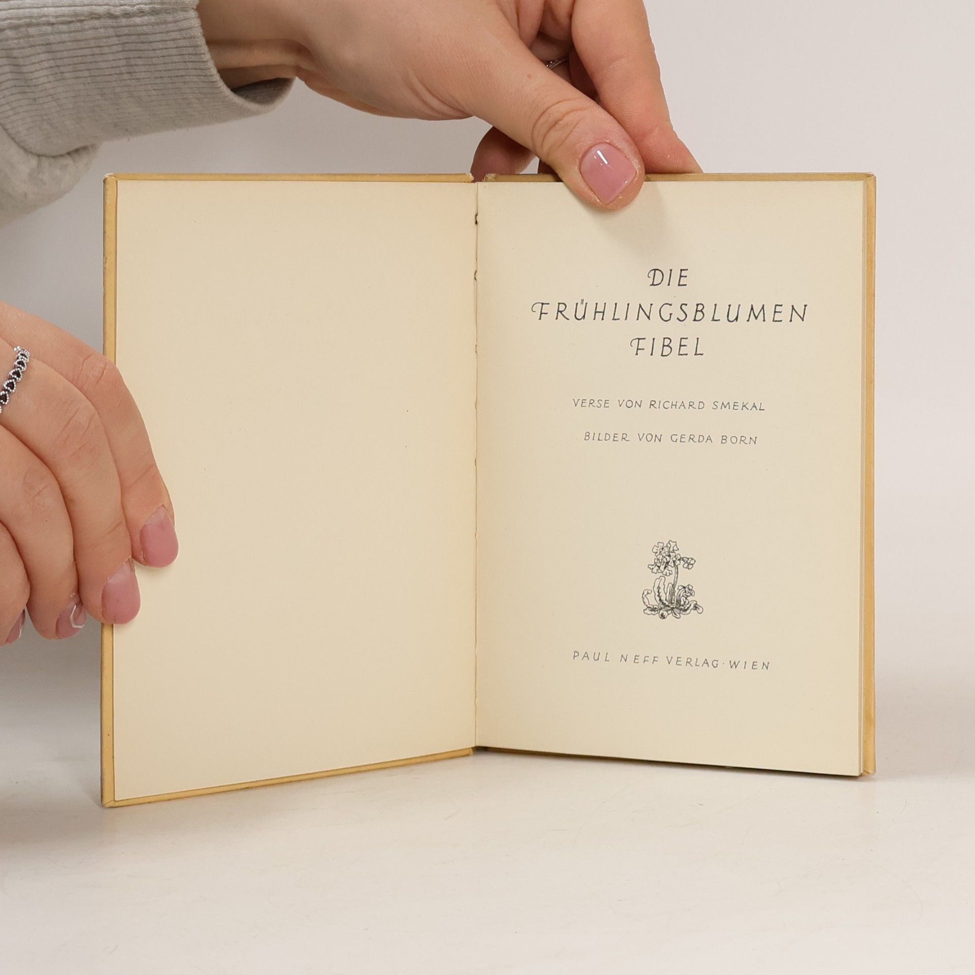 Autorenkollektiv Die Frühlingsblumen Fibel