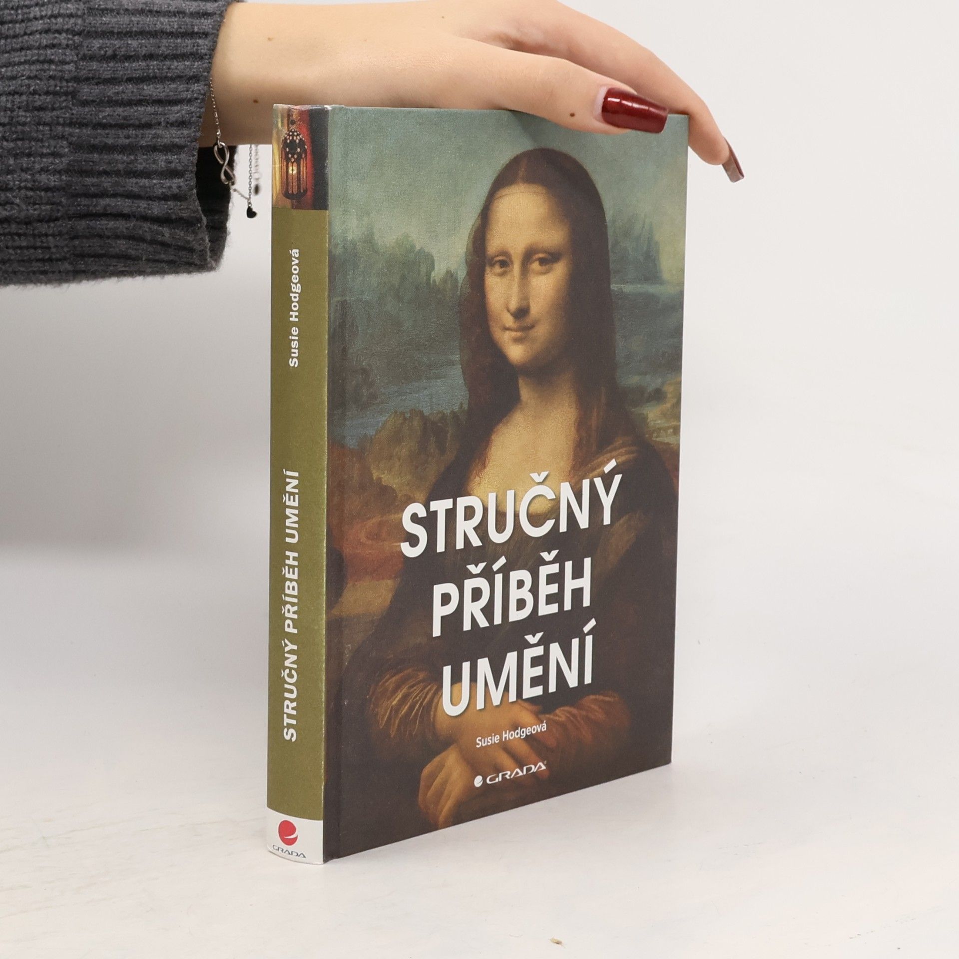 Susie Hodge Stručný příběh umění