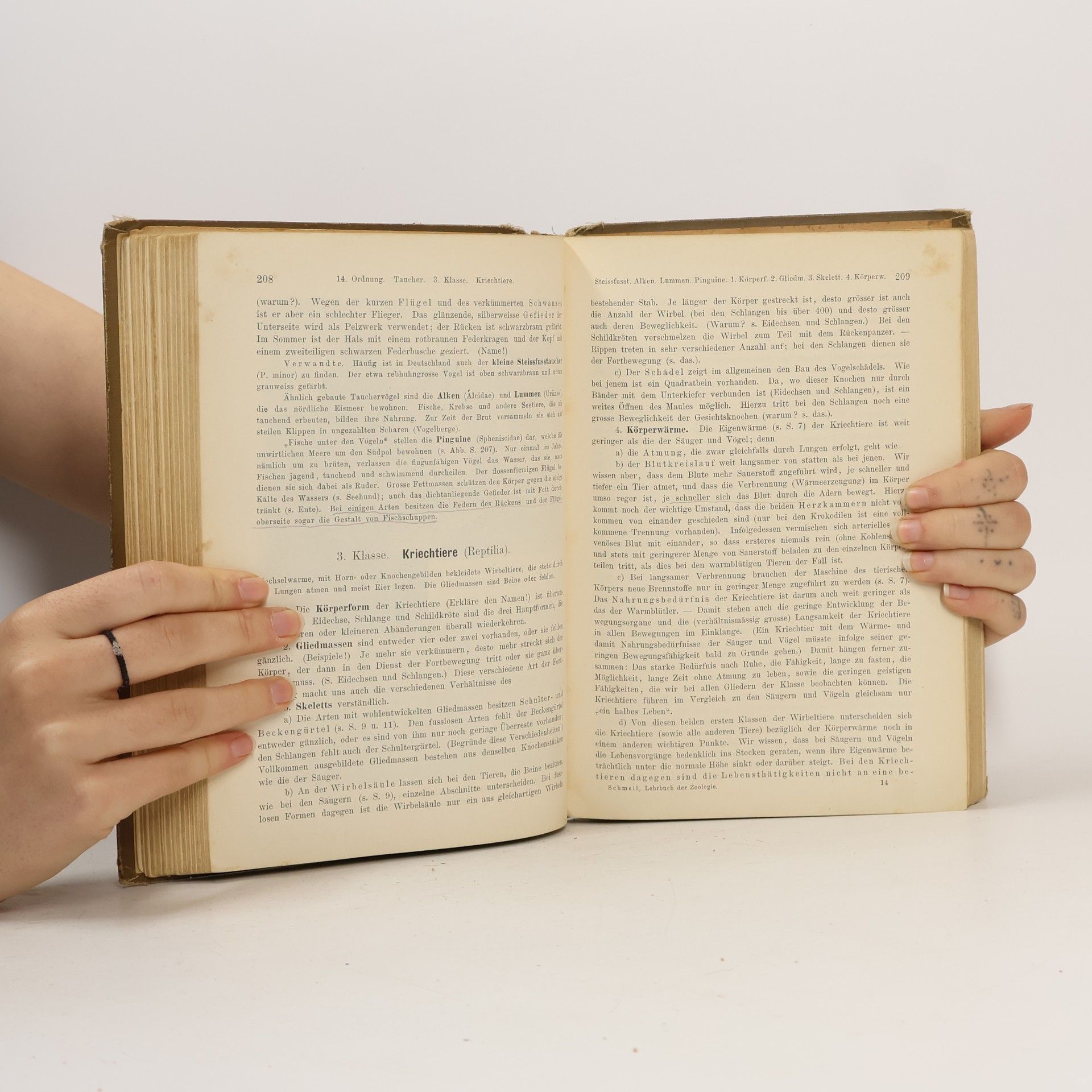 Schmeil Lehrbuch der Zoologie