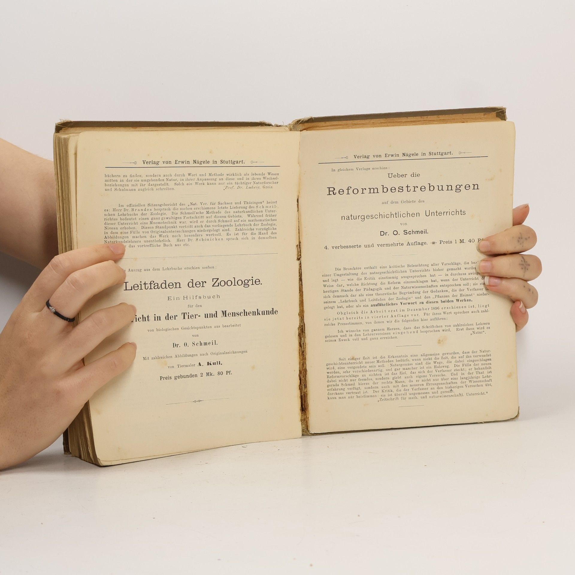Schmeil Lehrbuch der Zoologie