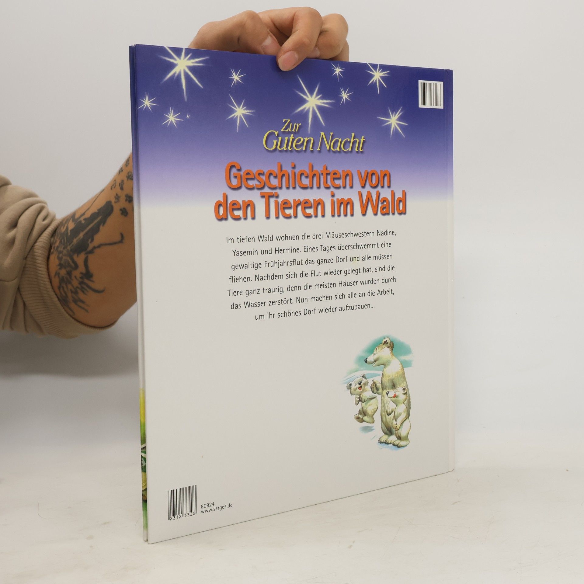 Autorenkollektiv Geschichten von den Tieren im Wald