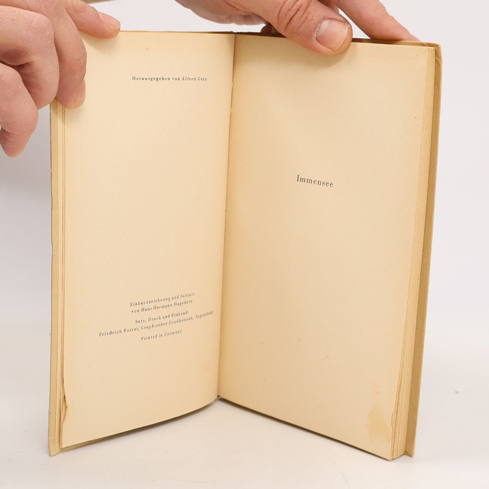 Theodor Storm Immensee. Ein grünes Blatt