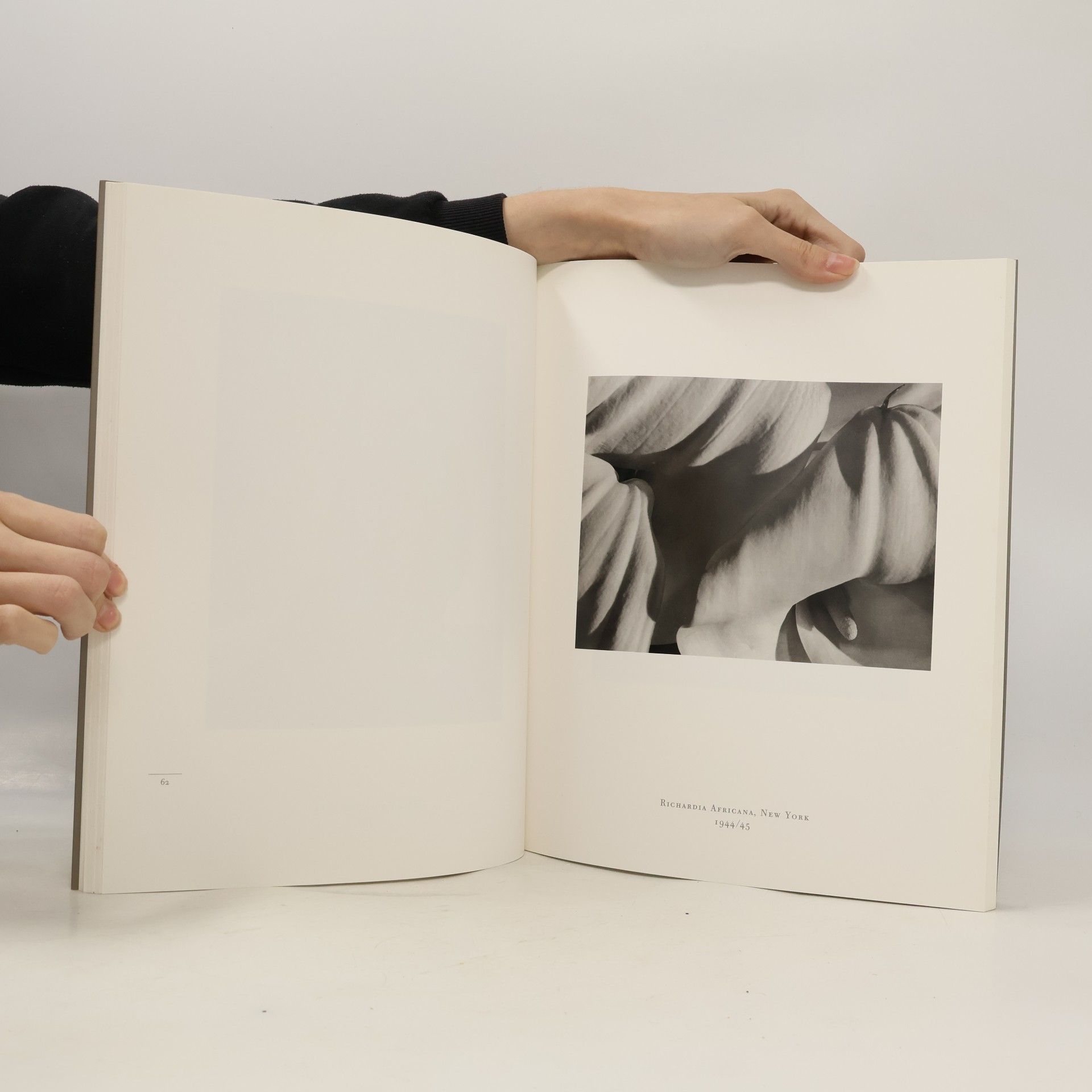 Horst P. Horst Horst P. Horst