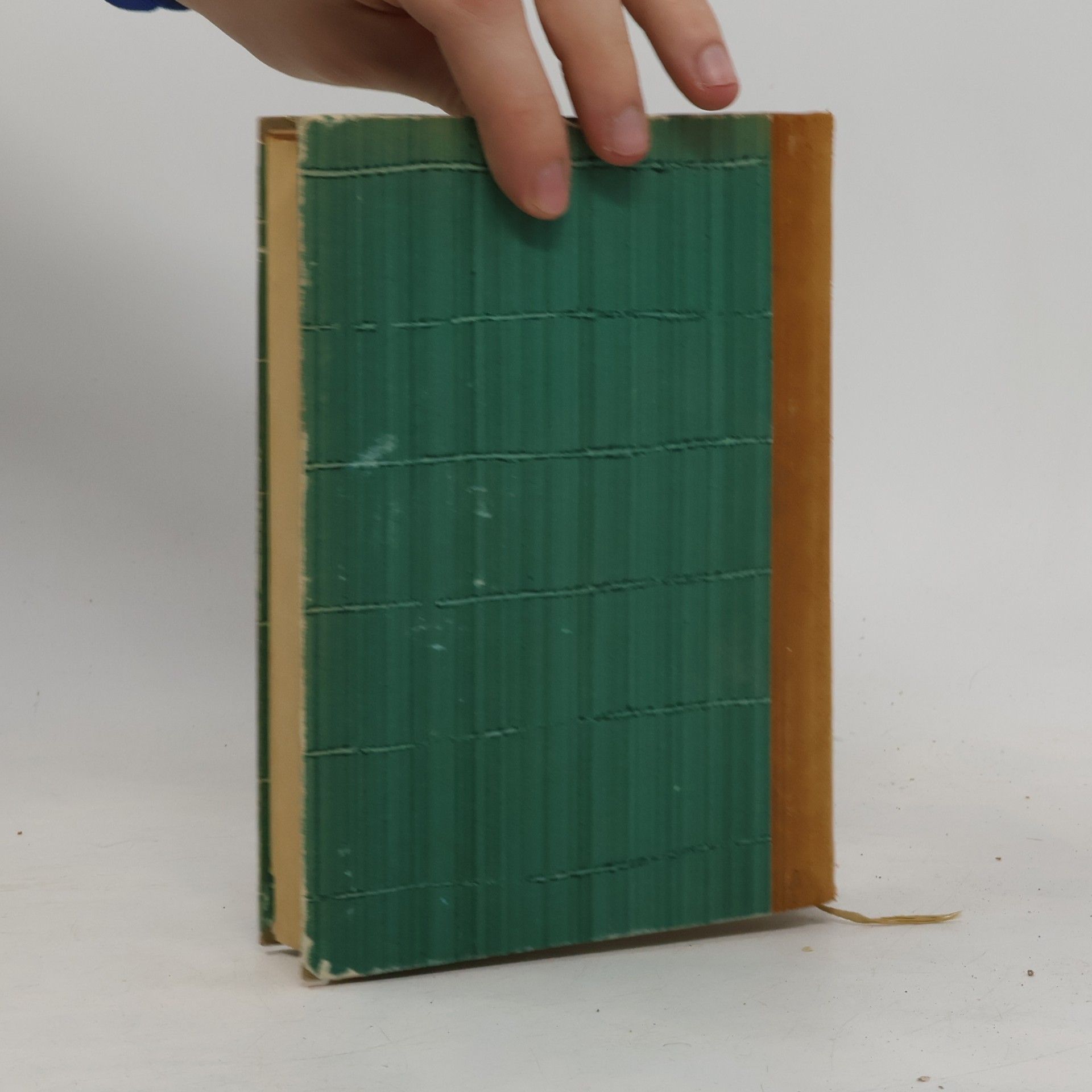 Zola Germinal