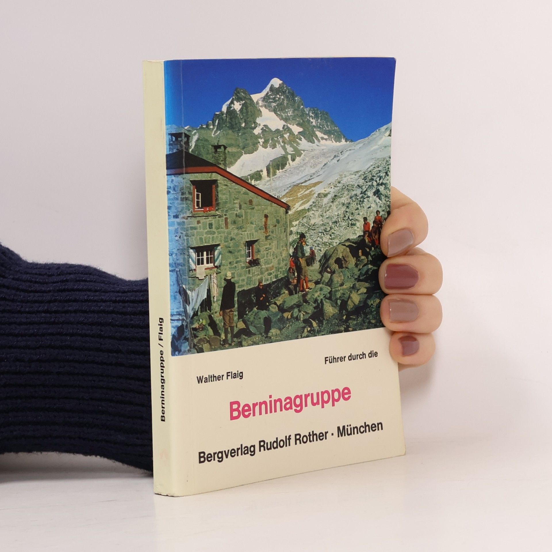 Kleiner Führer Bernina-Gruppe