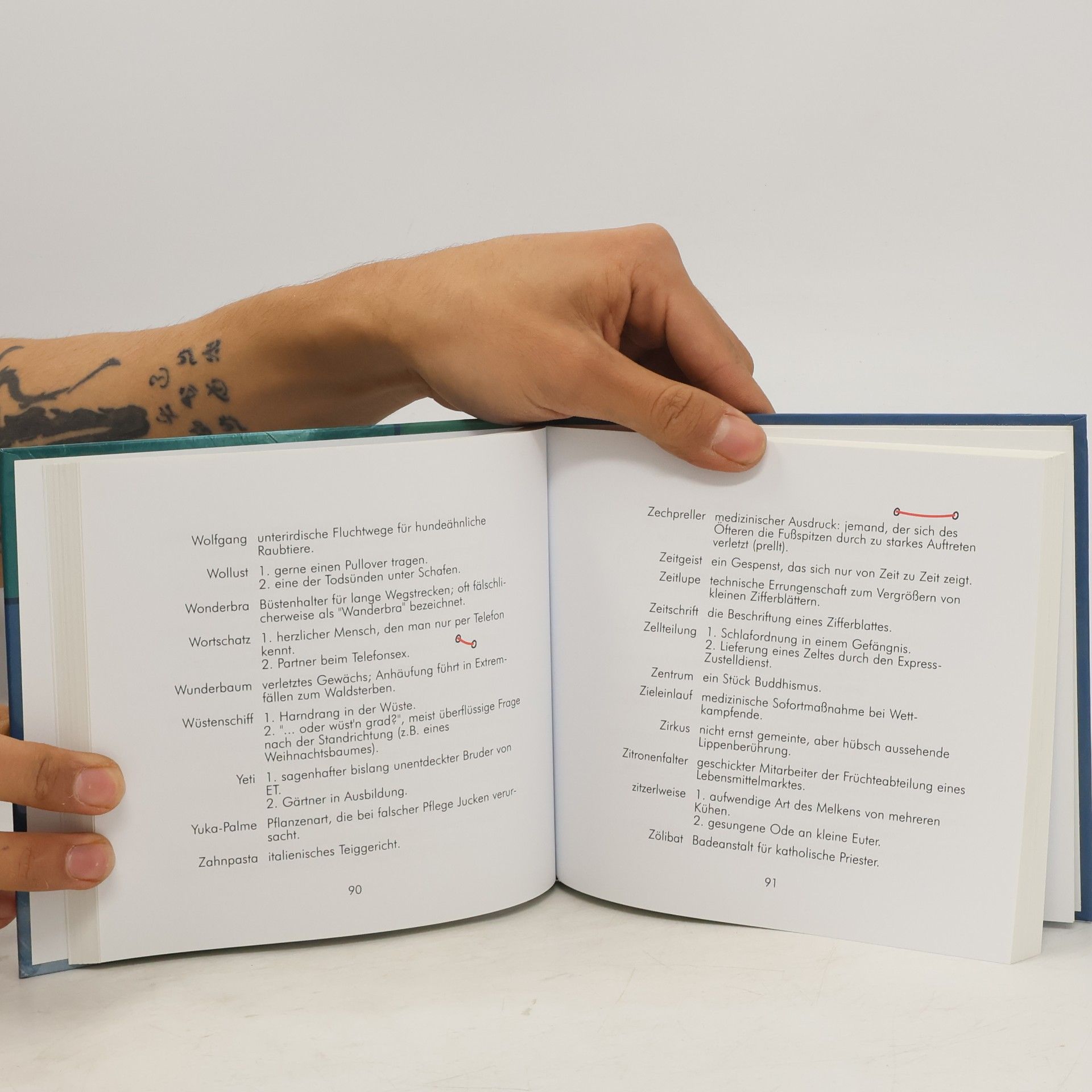 Andy Woerz Das Nonsenswörterbuch