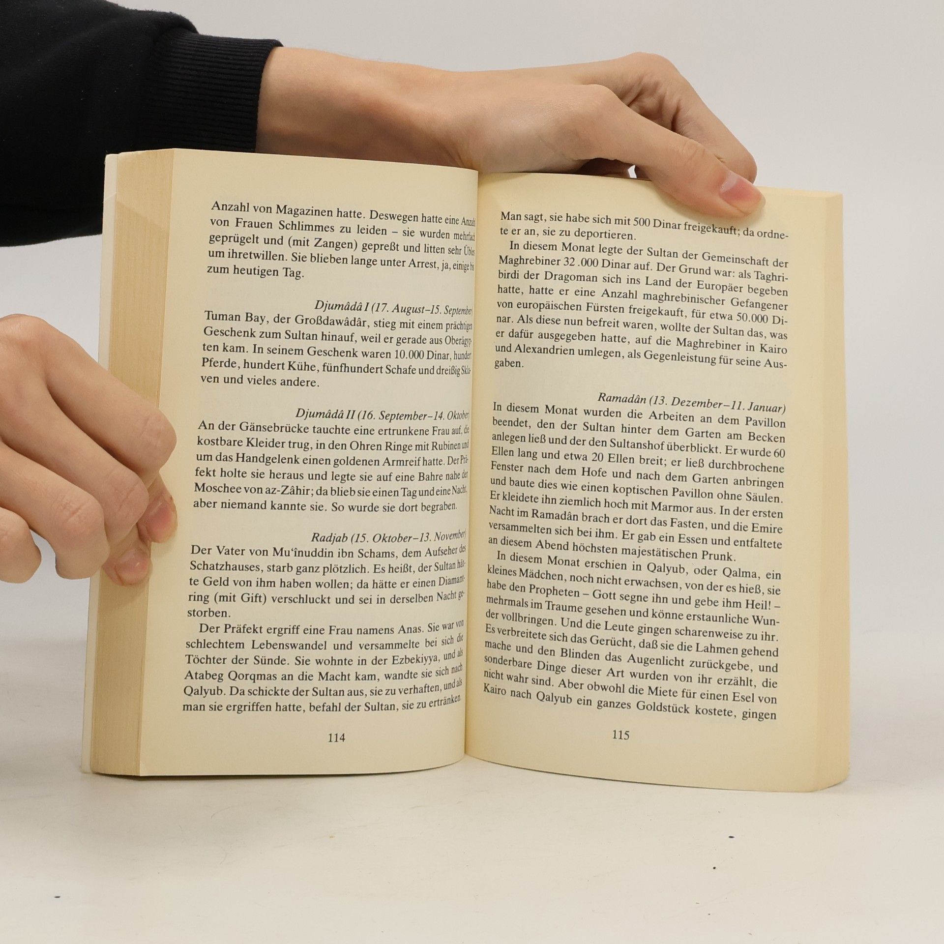 Muḥammad Ibn-Aḥmad Ibn-Iyās Bibliothek Arabischer Erzähler: Alltagsnotizen eines ägyptischen Bürgers