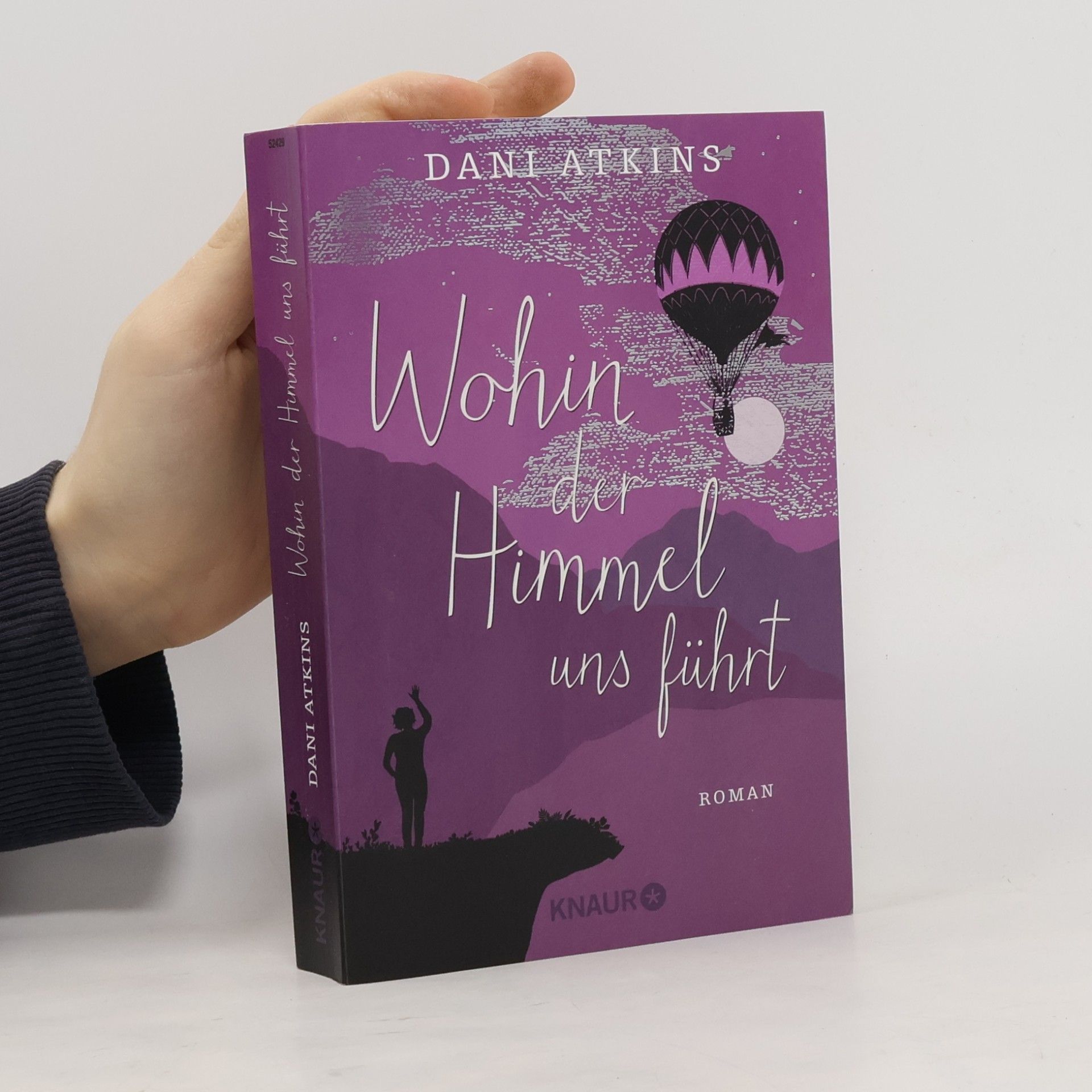 Dani Atkins Wohin der Himmel uns führt