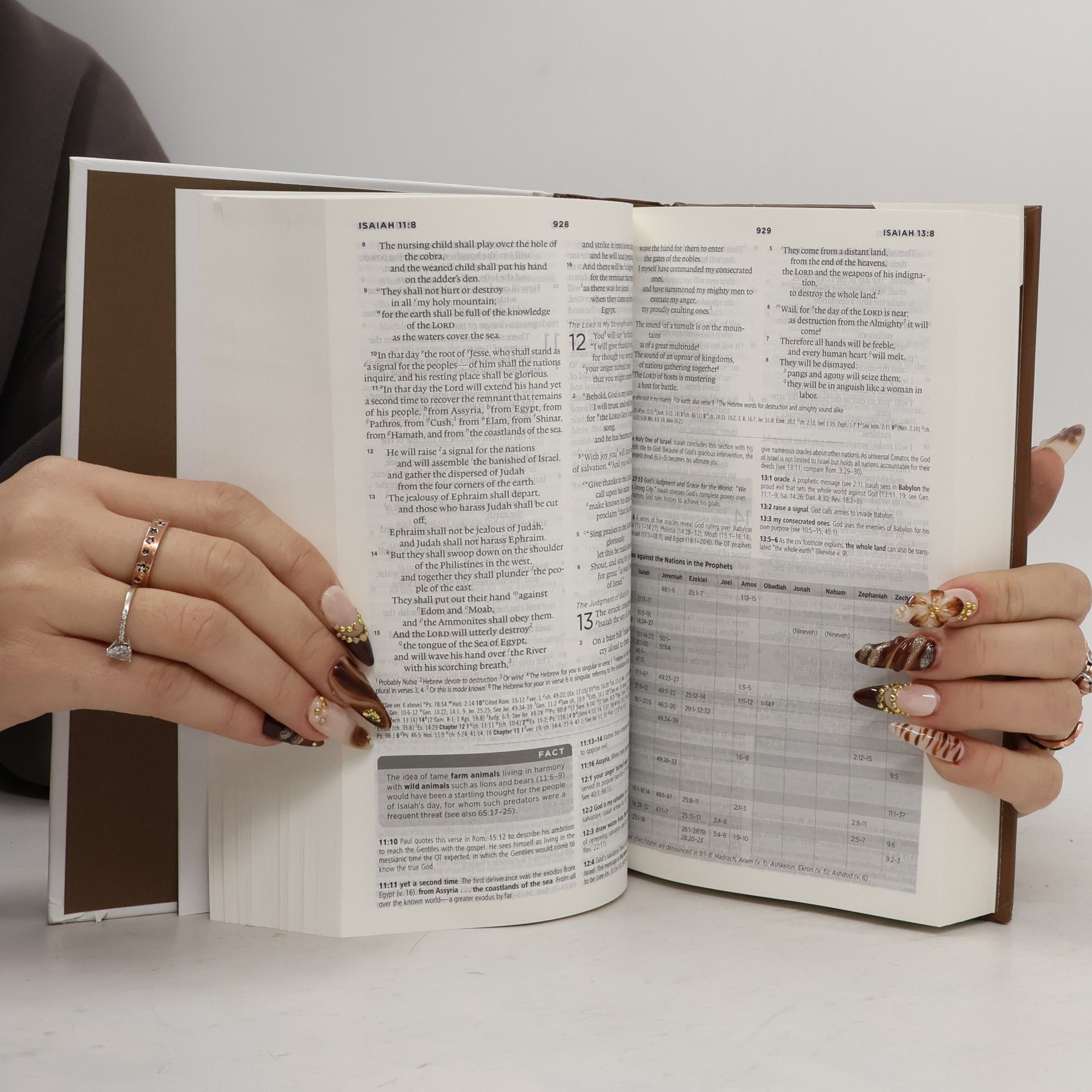 Kolektiv autorů Global Study Bible