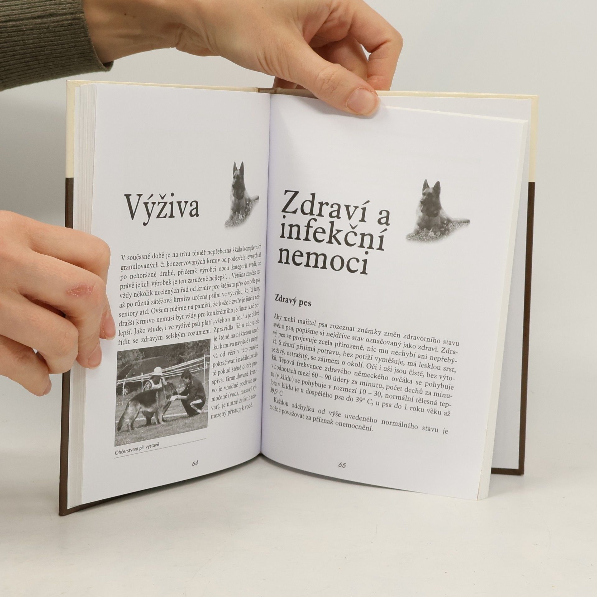 Eva Soukupová Německý ovčák