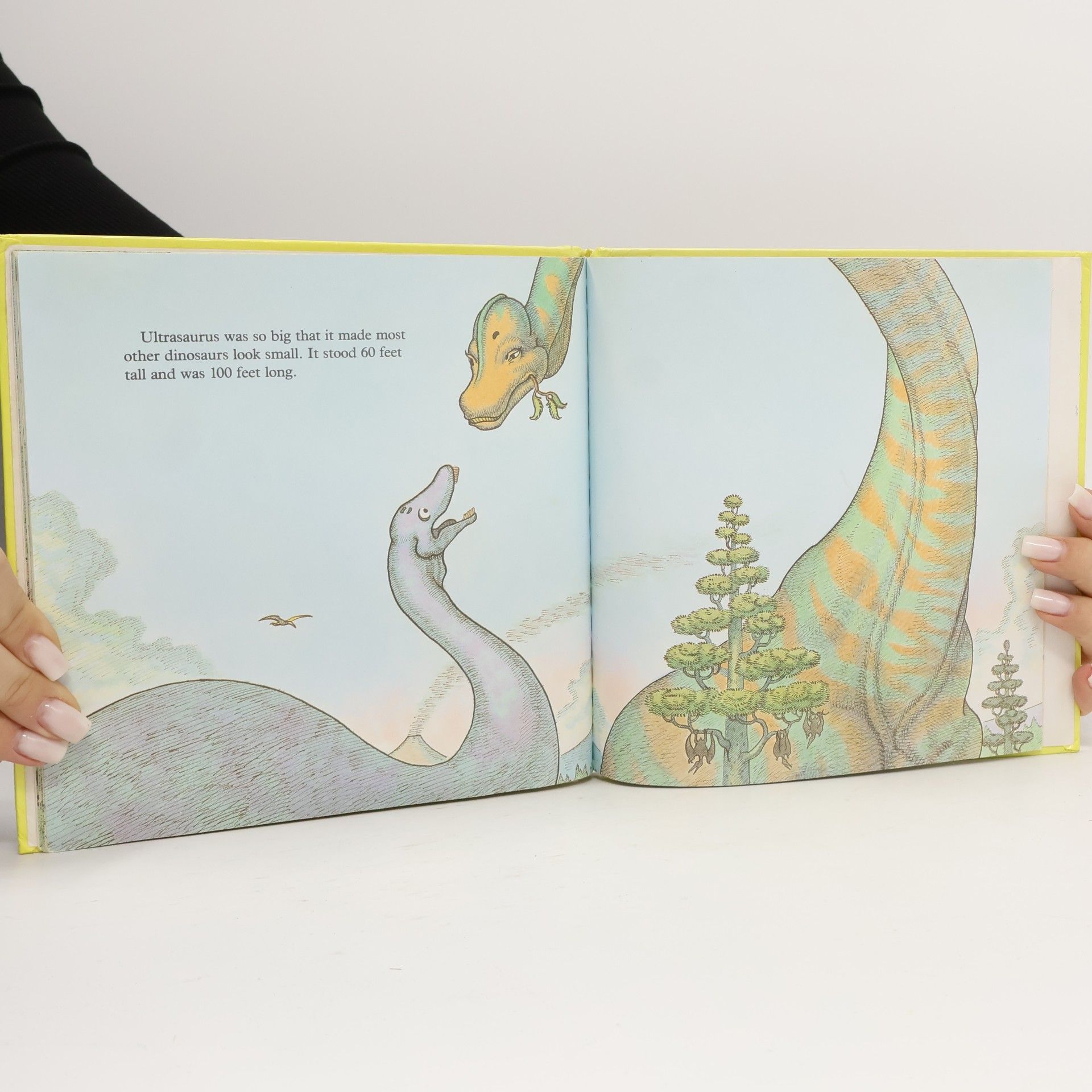 Michael Berenstain I Love Dinosaurs: The Biggest Dinosaurs