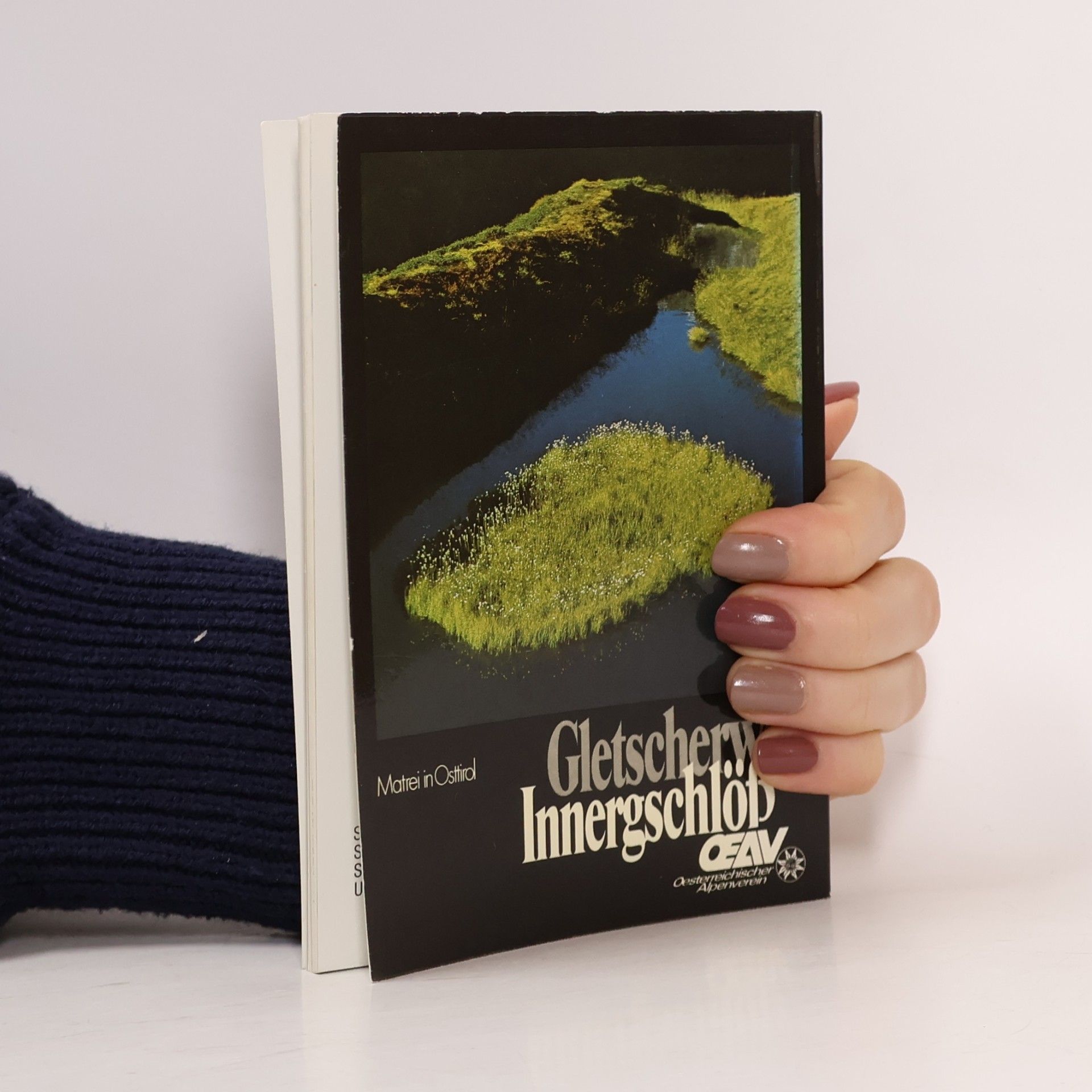 Kolektiv autorů Gletschrweg Innergschlöss
