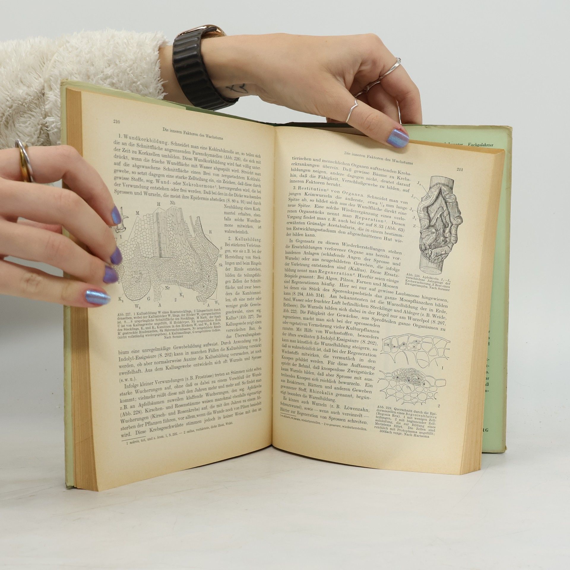 Otto Schmeil Lehrbuch der Botanik 1