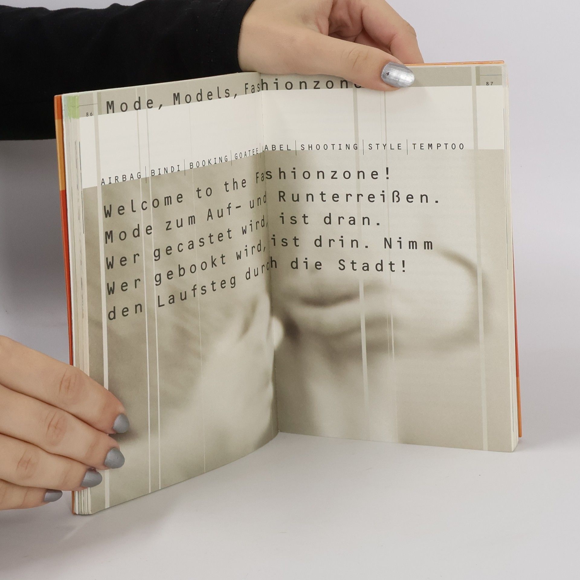 Peter Wippermann Duden, Wörterbuch der Szenesprachen