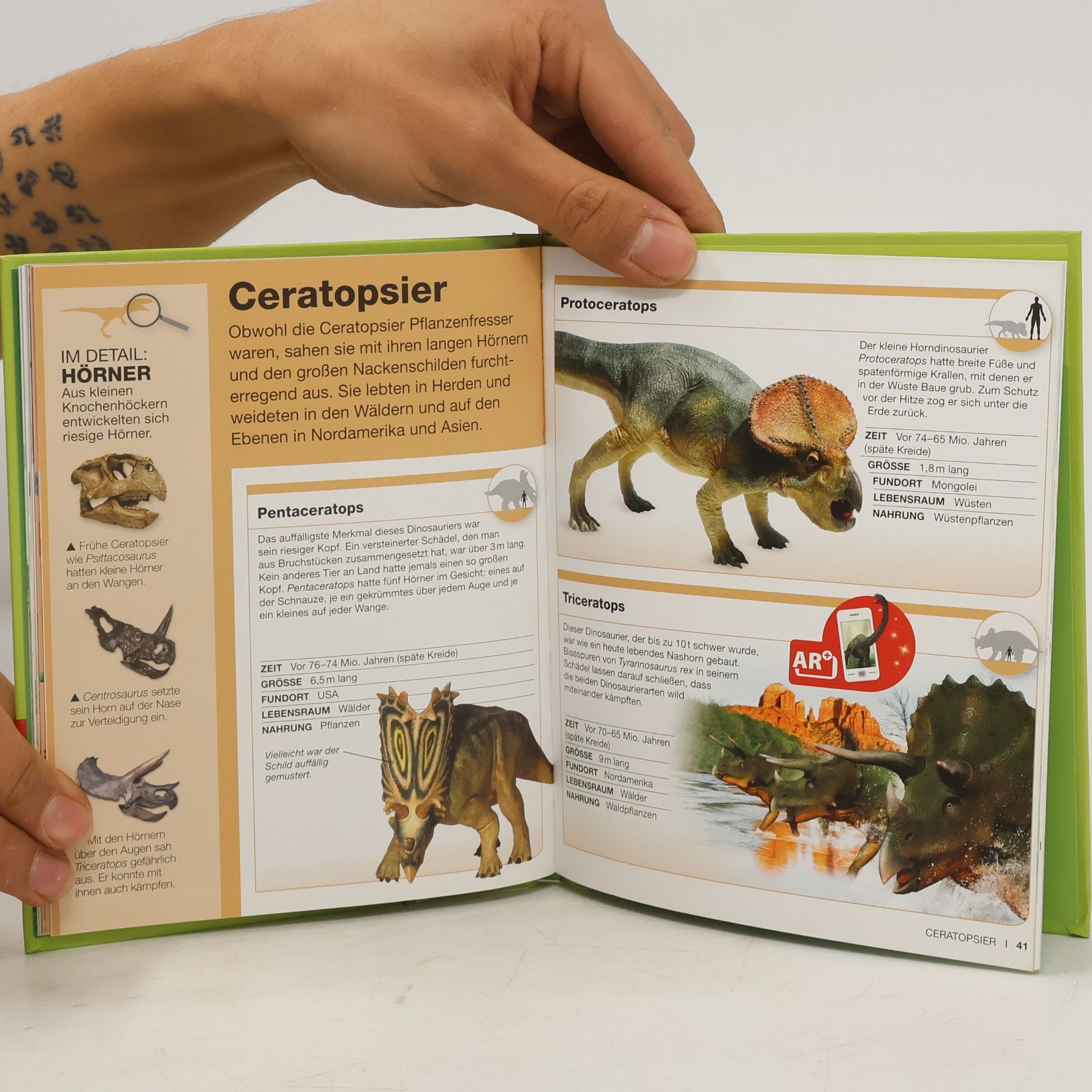 Various authors Clever Dinosaurier