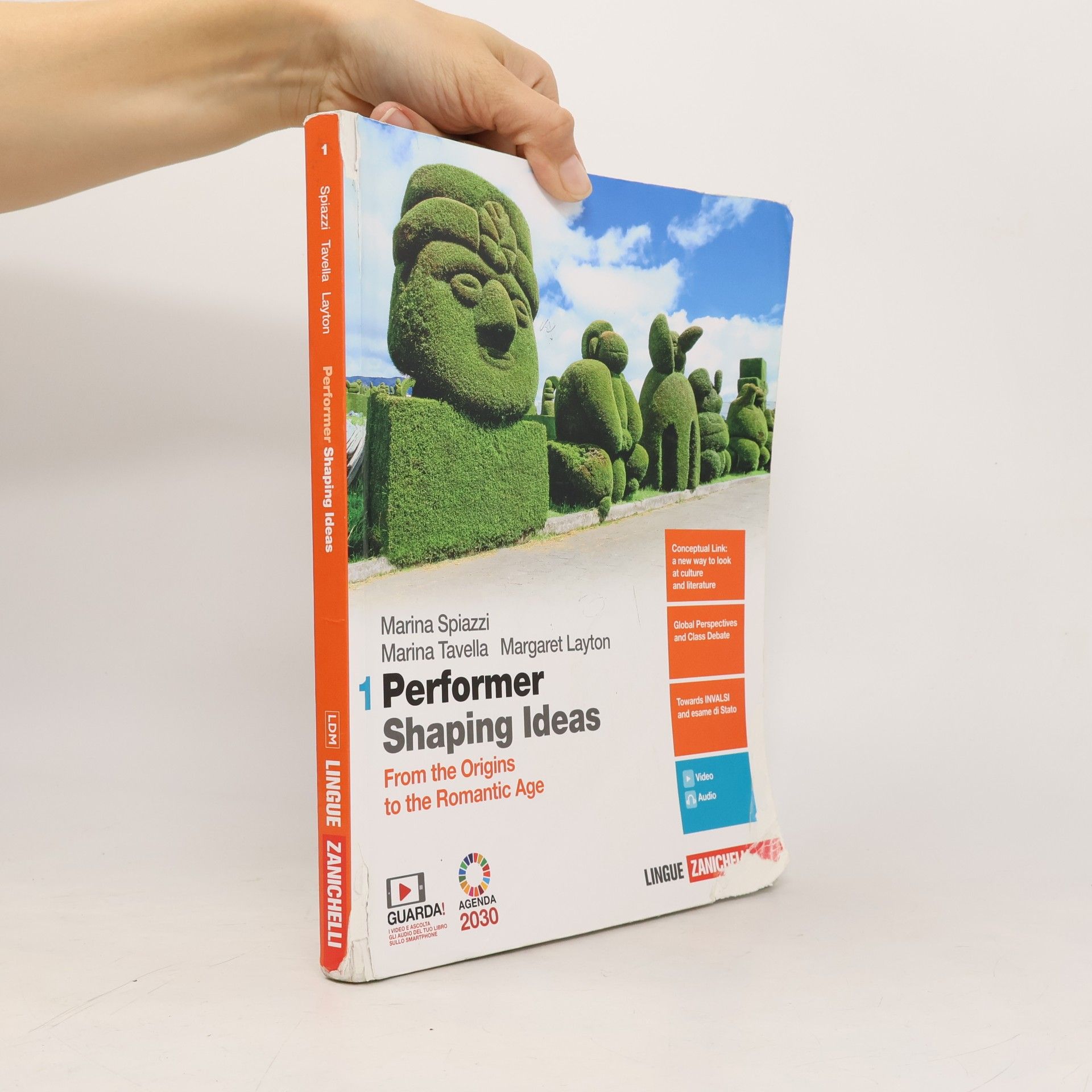 Performer Shaping Ideas 1