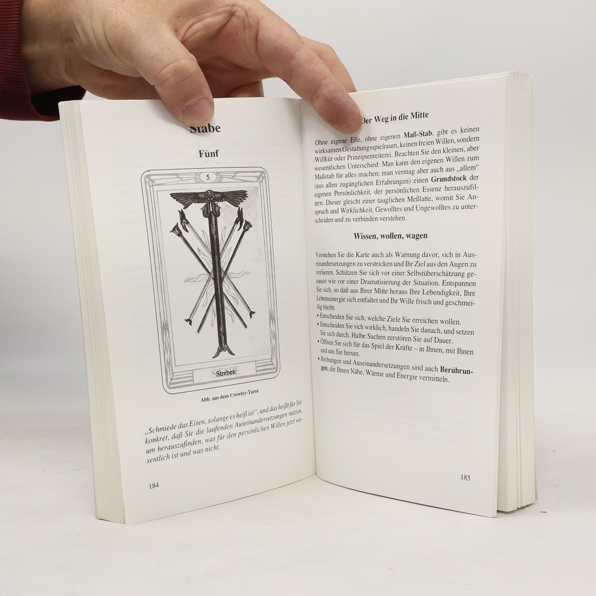 Johannes Fiebig Tarot leicht erklärt