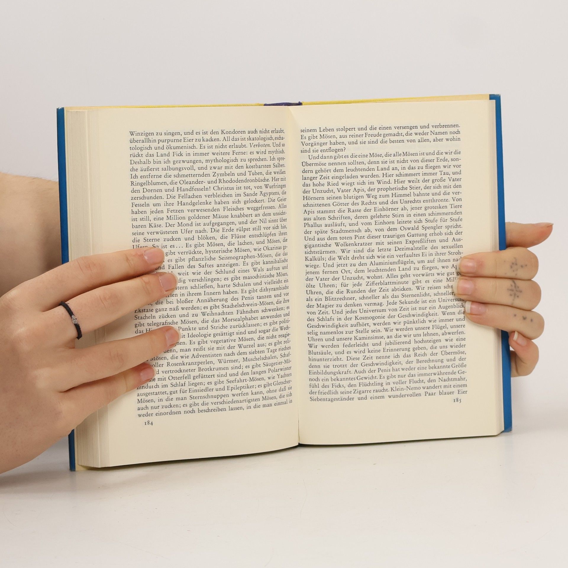 Henry Miller Wendekreis des Steinbocks
