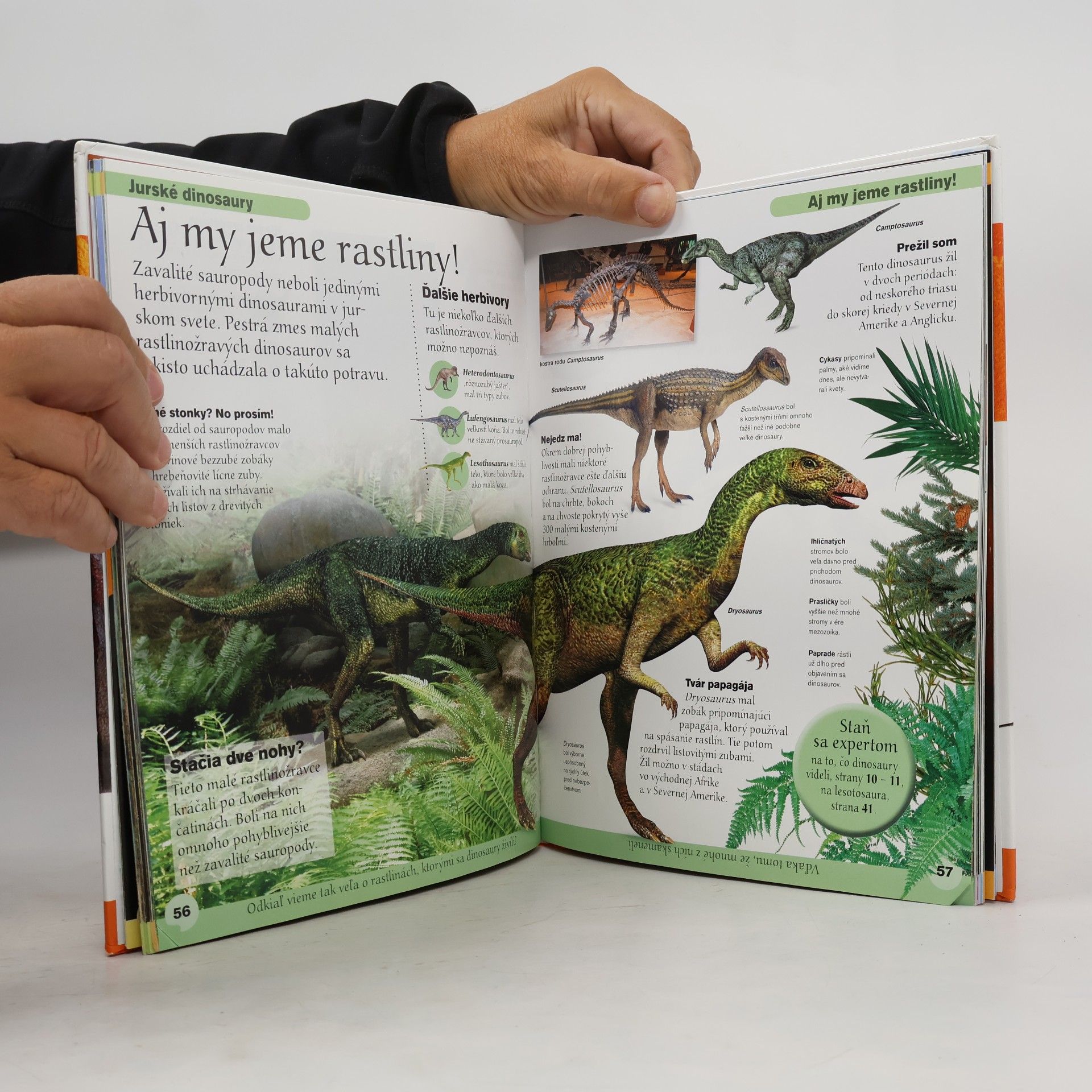 Caroline Bingham Encyklopédia dinosaurov