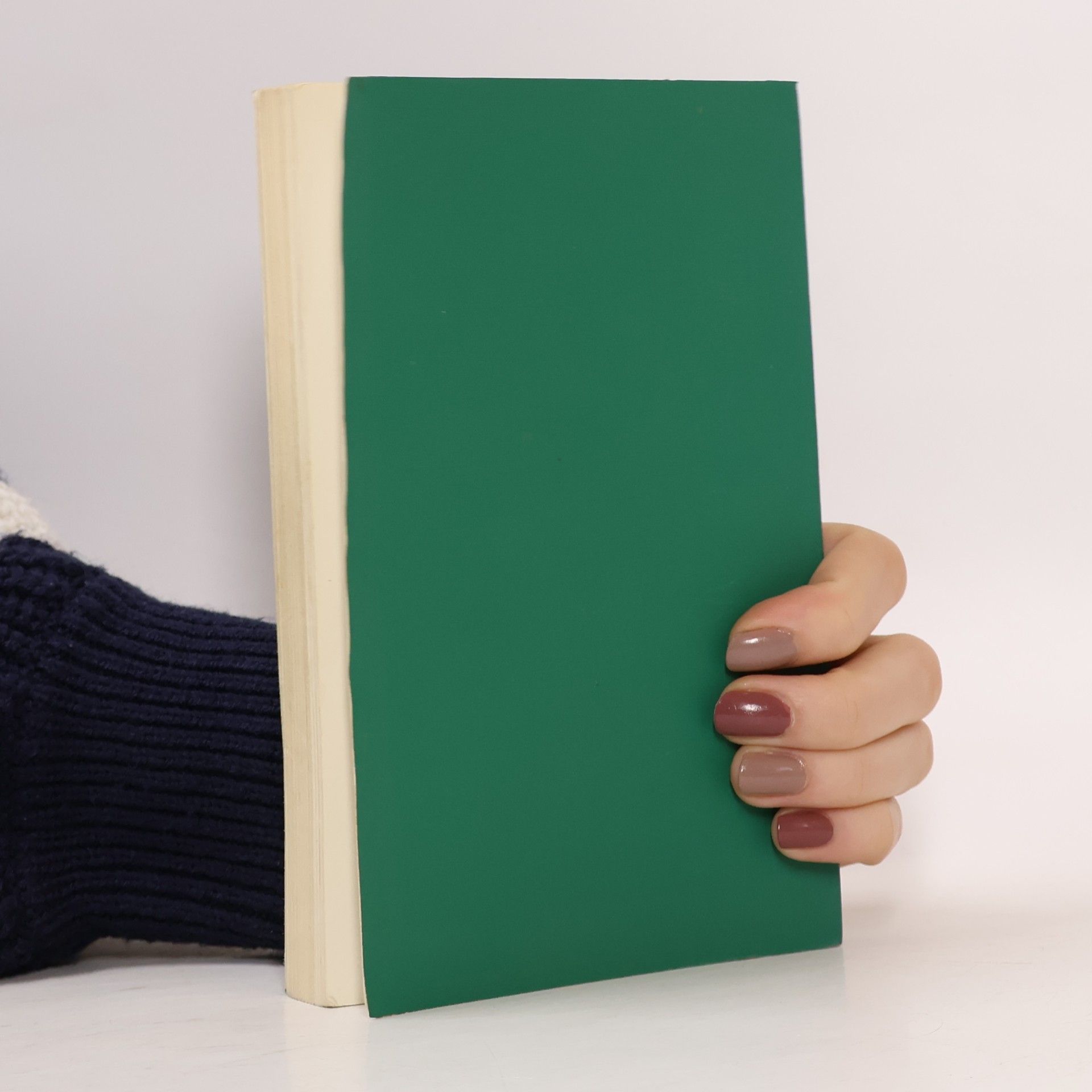 Pflüger Schwäbisches Rundwanderbuch