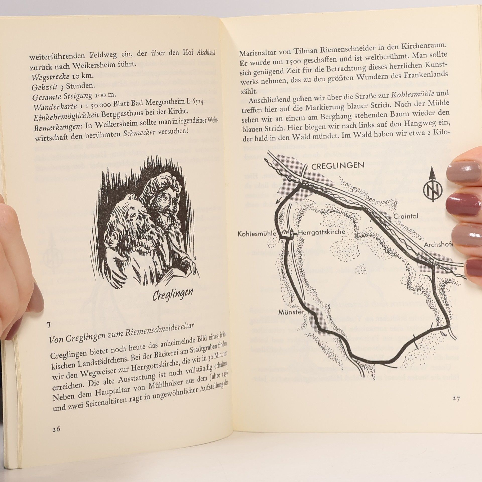 Pflüger Schwäbisches Rundwanderbuch