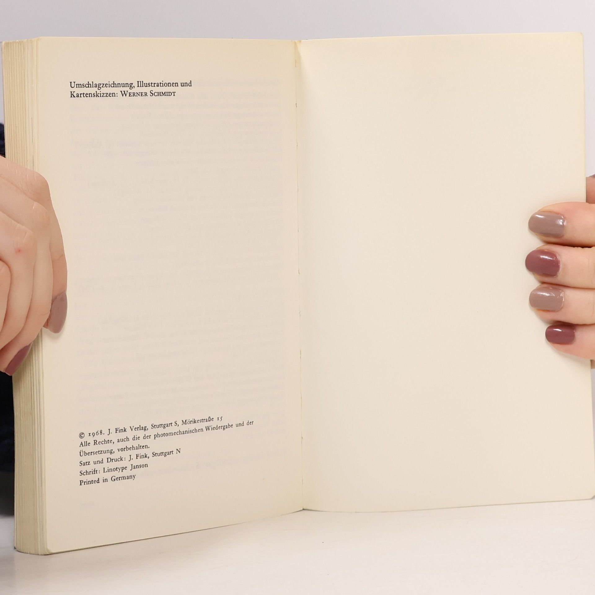 Pflüger Schwäbisches Rundwanderbuch