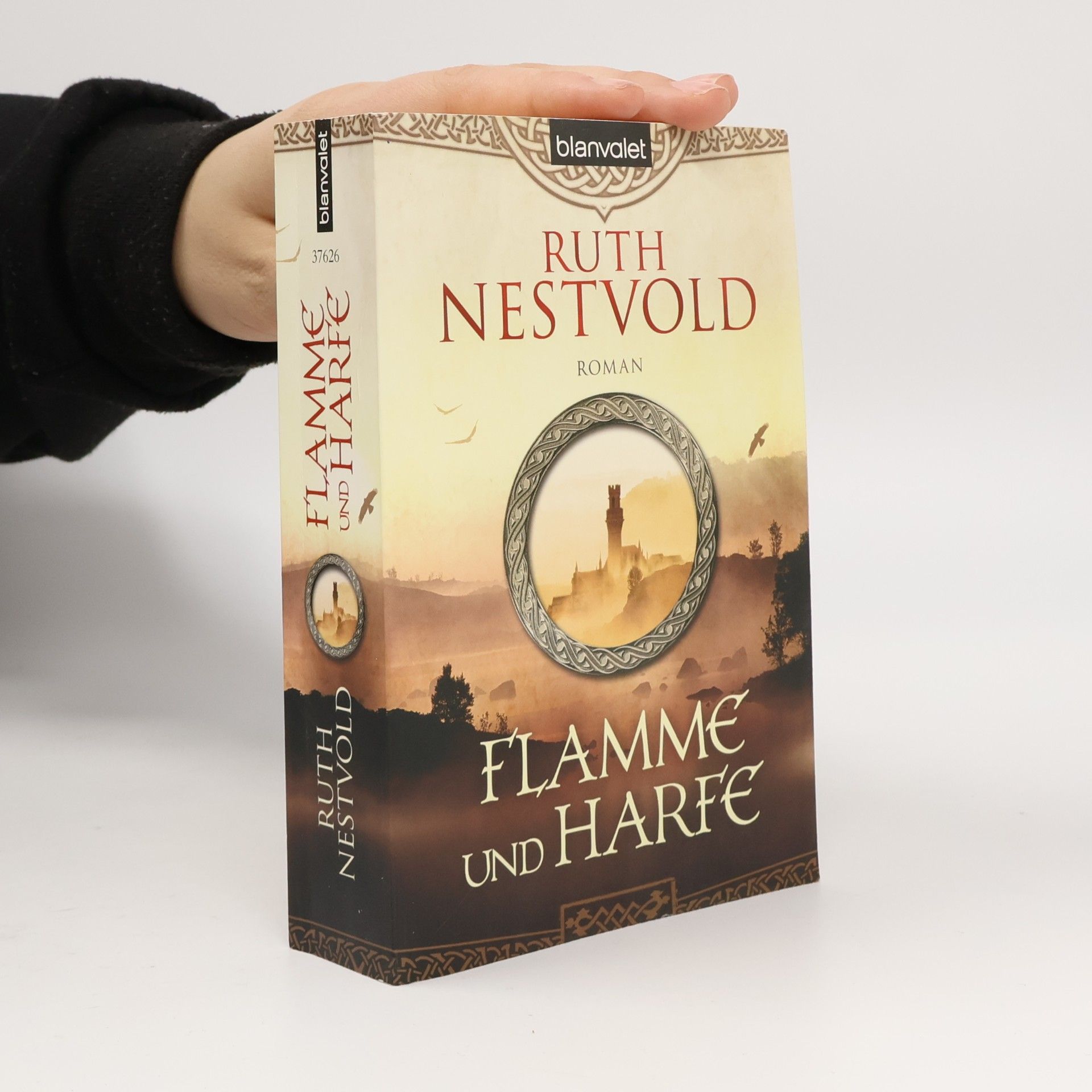 Ruth Nestvold-Mack Flamme und Harfe. Roman
