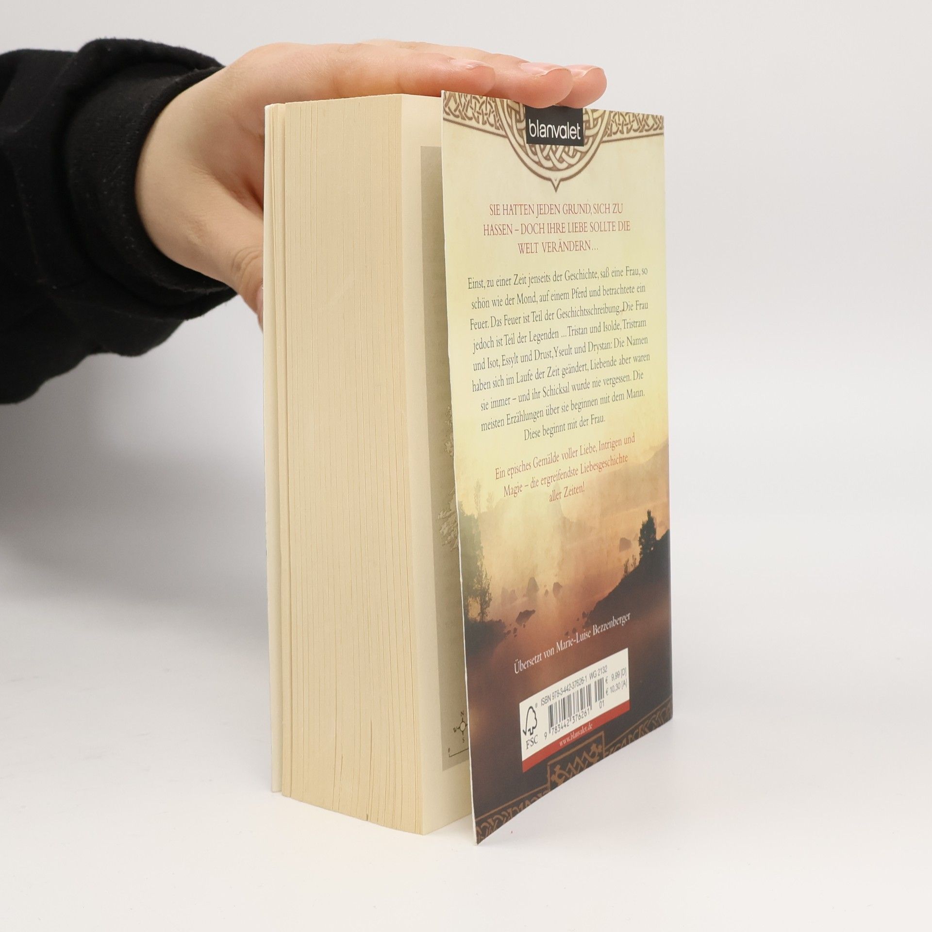 Ruth Nestvold-Mack Flamme und Harfe. Roman