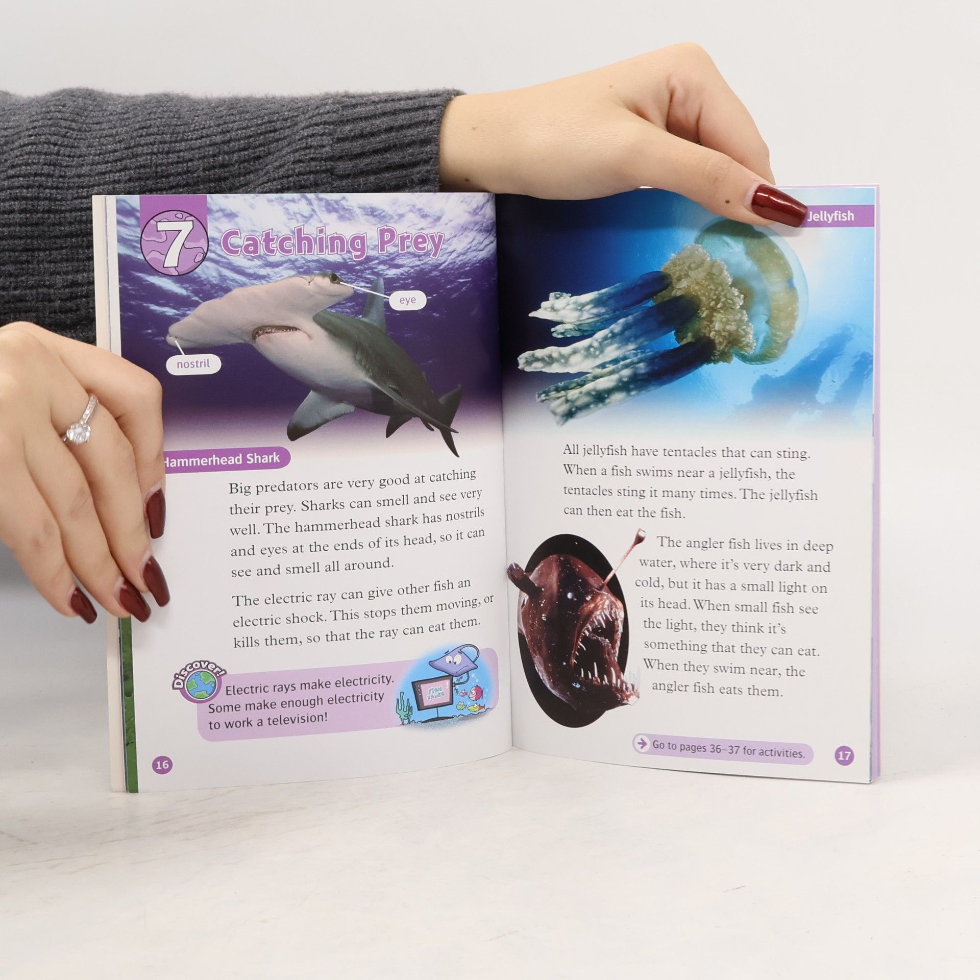 Rachel Bladon All about Ocean Life 4