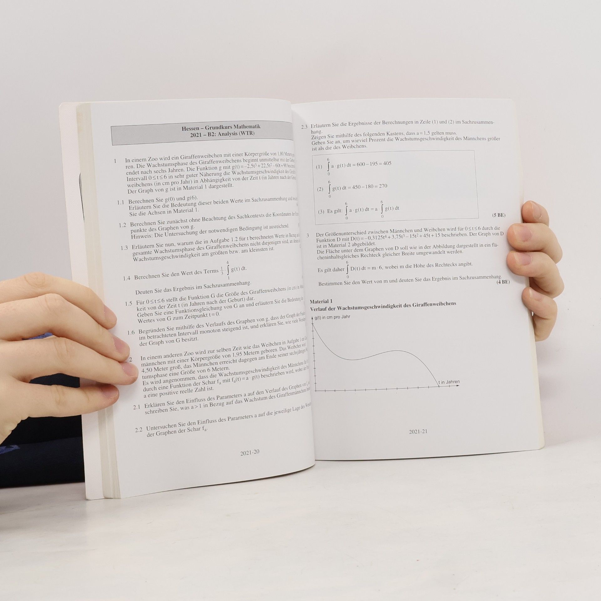 Viola Dengler 2025 Abitur Original-Prüfungsaufgaben mit Lösungen, Hessen. Mathematik GK