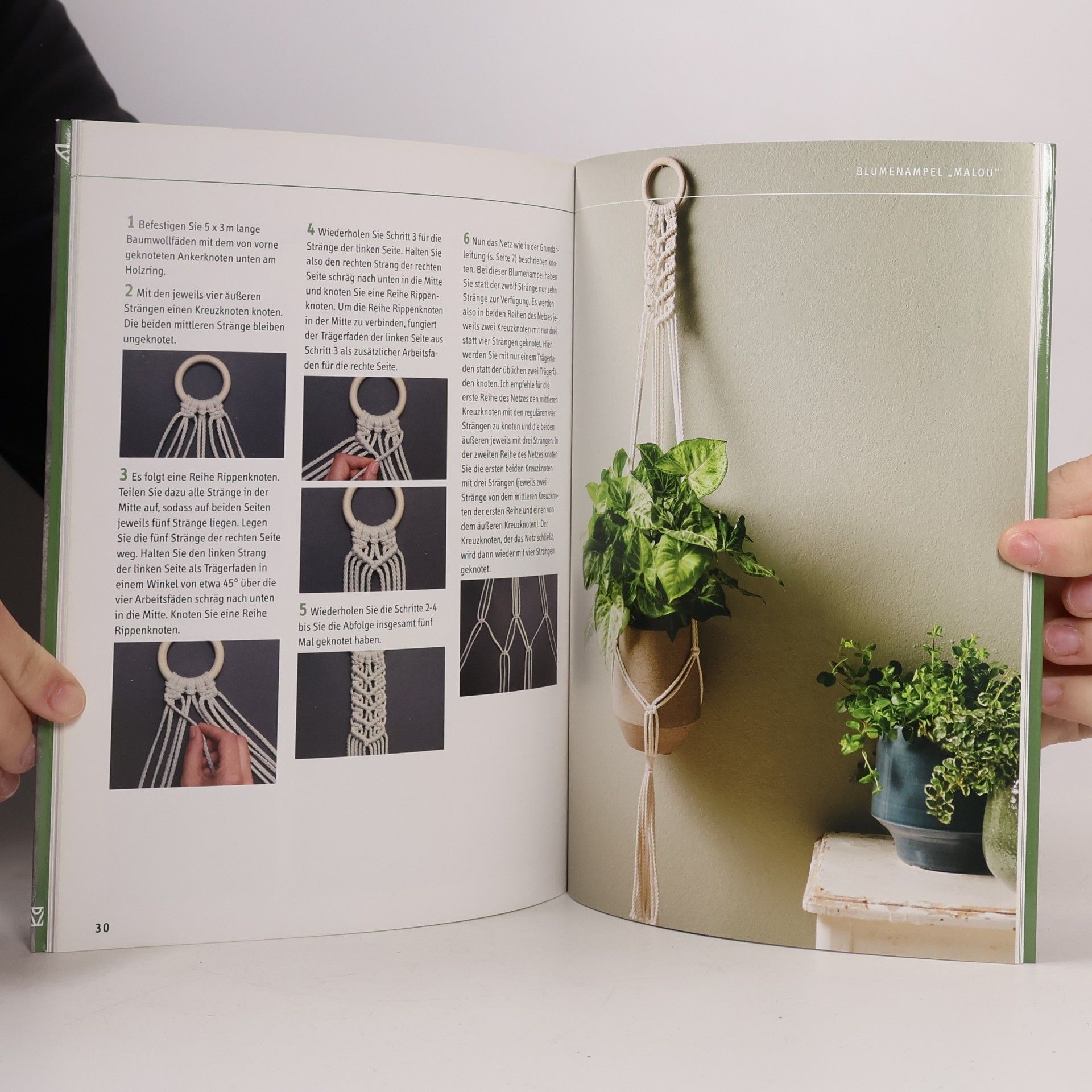 Josephine Kirsch Makramee Blumenampeln (kreativ.kompakt)