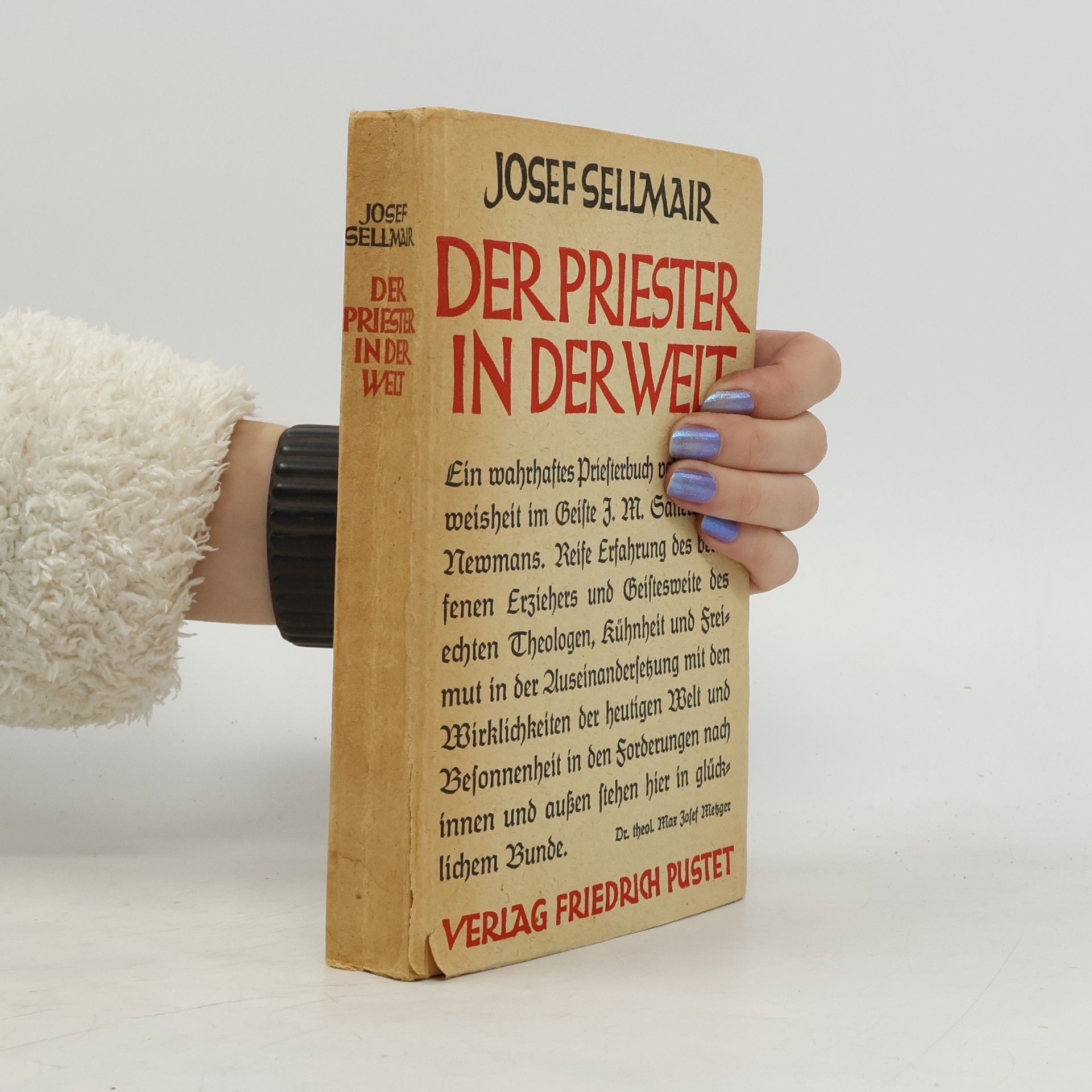 Der Priester in der Welt