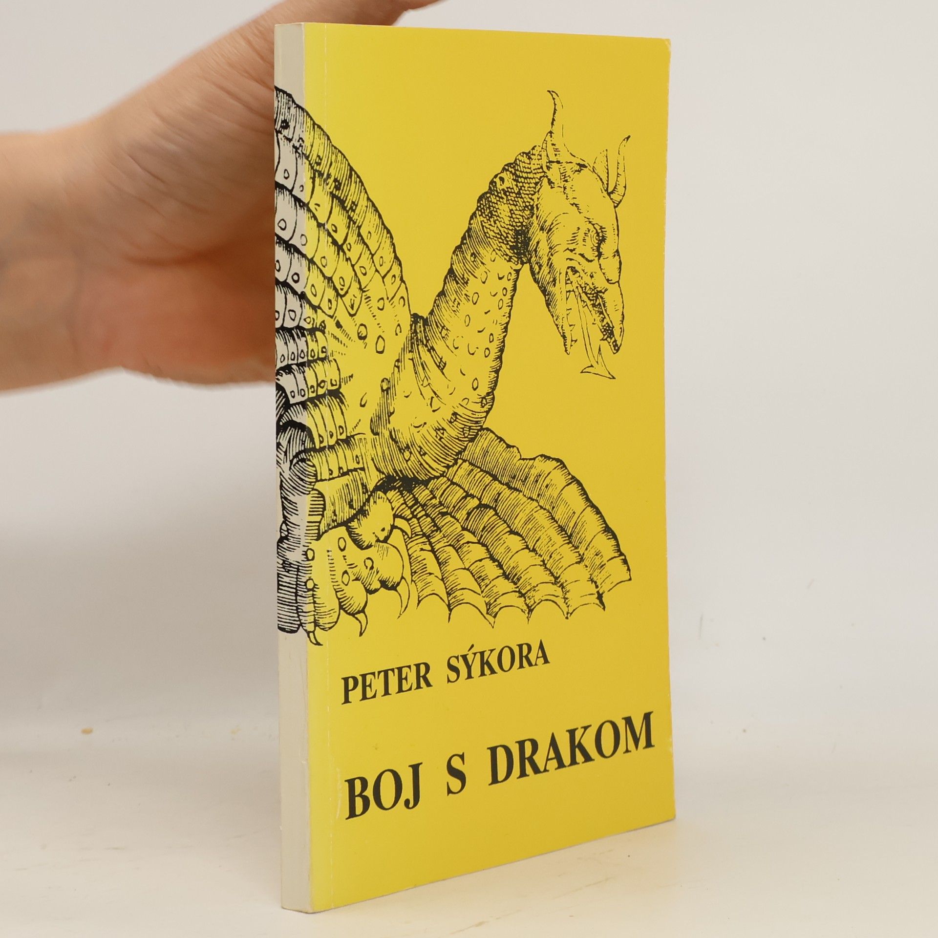 Boj s drakom