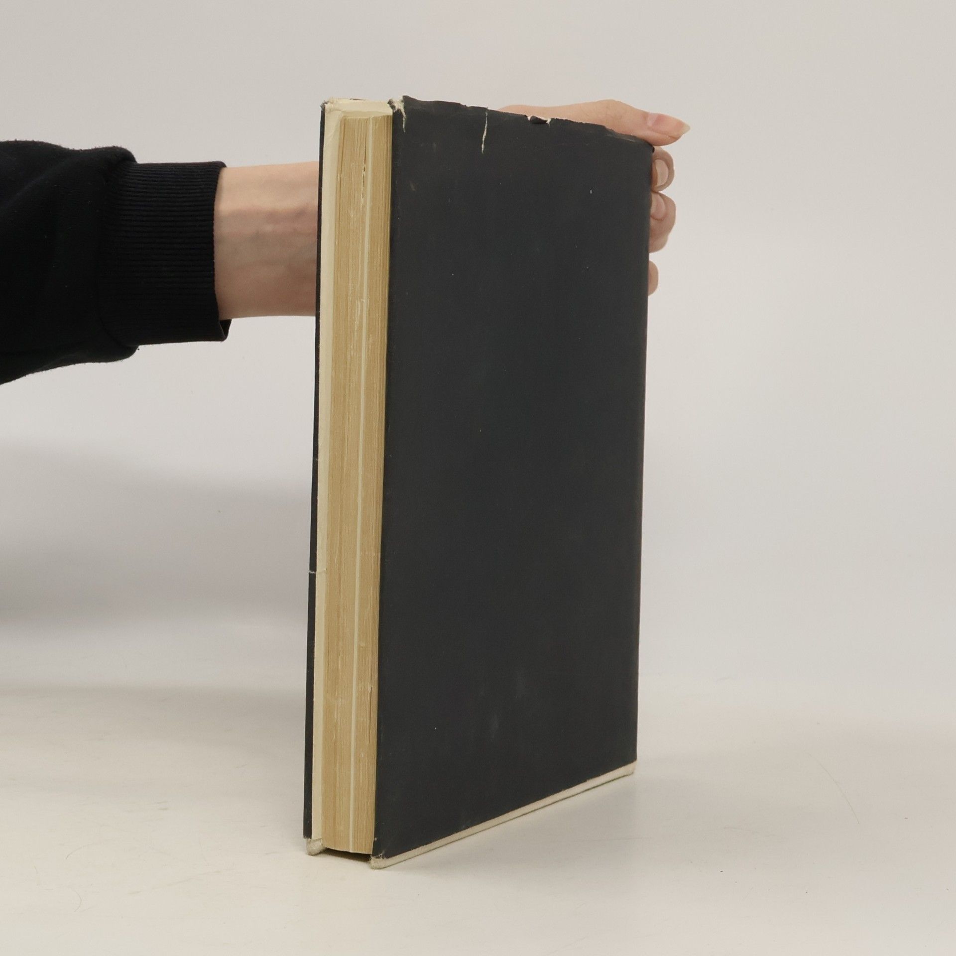 JeanPierre Cartier Válka proti Albigenským
