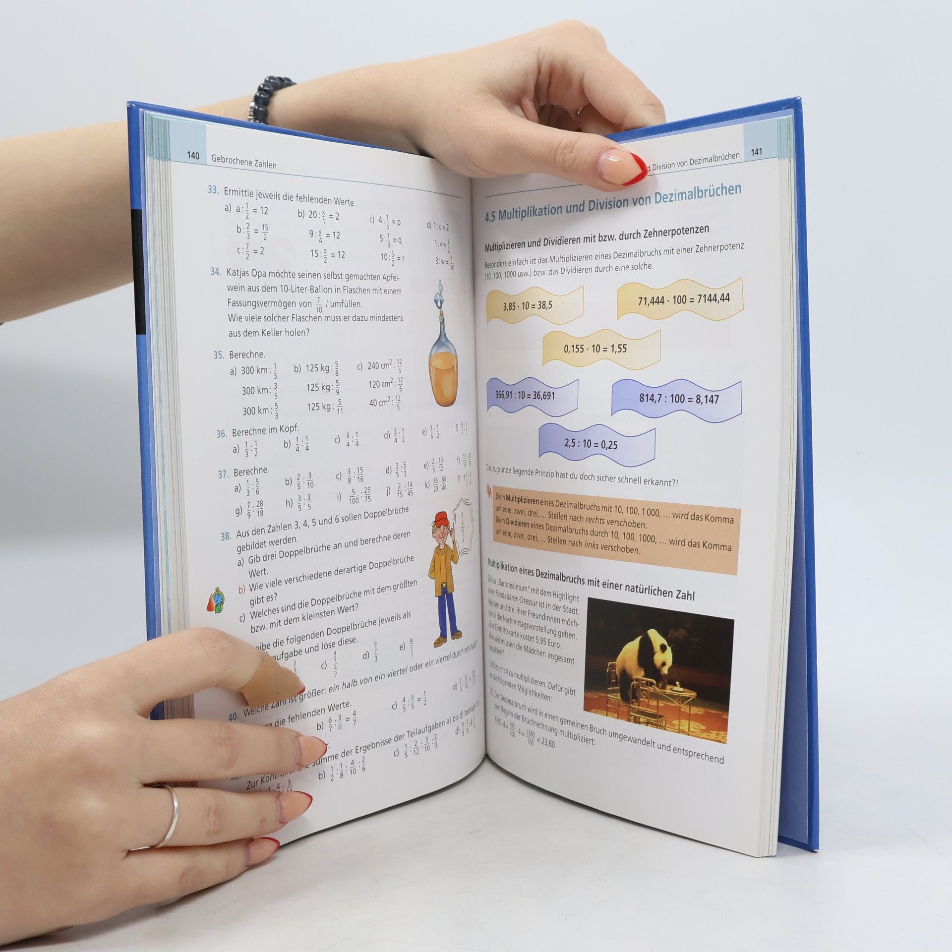 Martina Hanelt Duden - 6: Mathematik - Sekundarstufe I