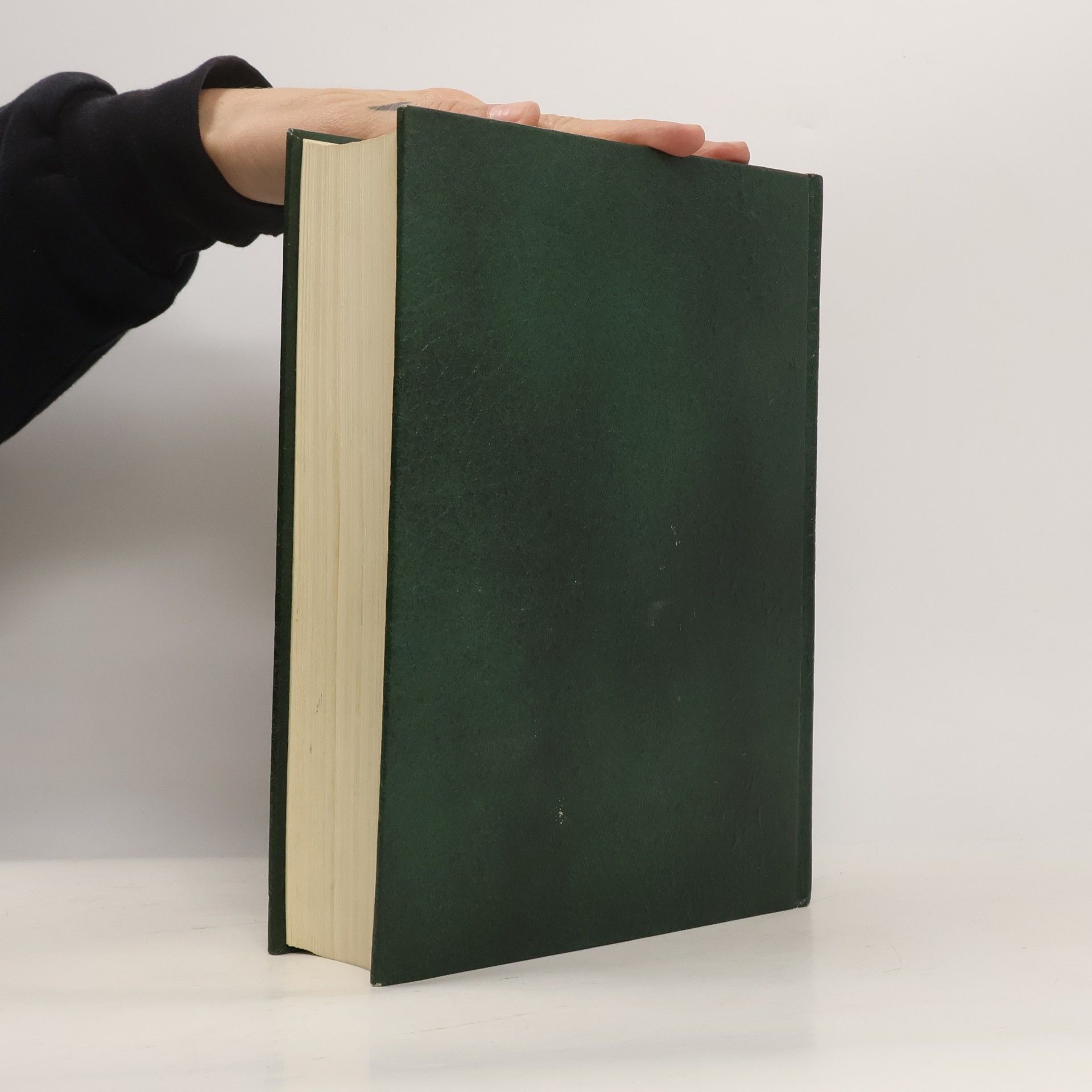 Martin Kausche Der Neue Brockhaus 2