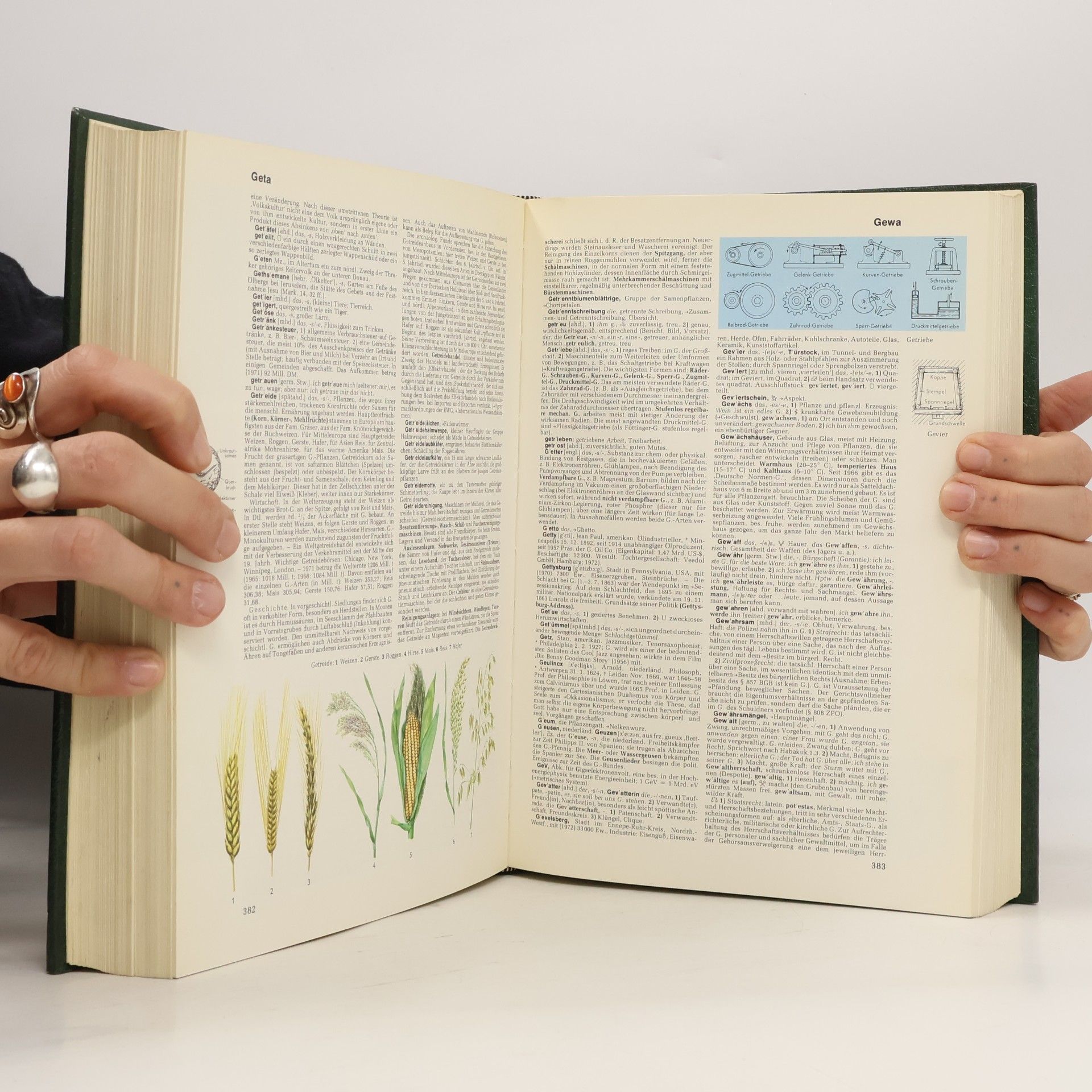 Martin Kausche Der Neue Brockhaus 2