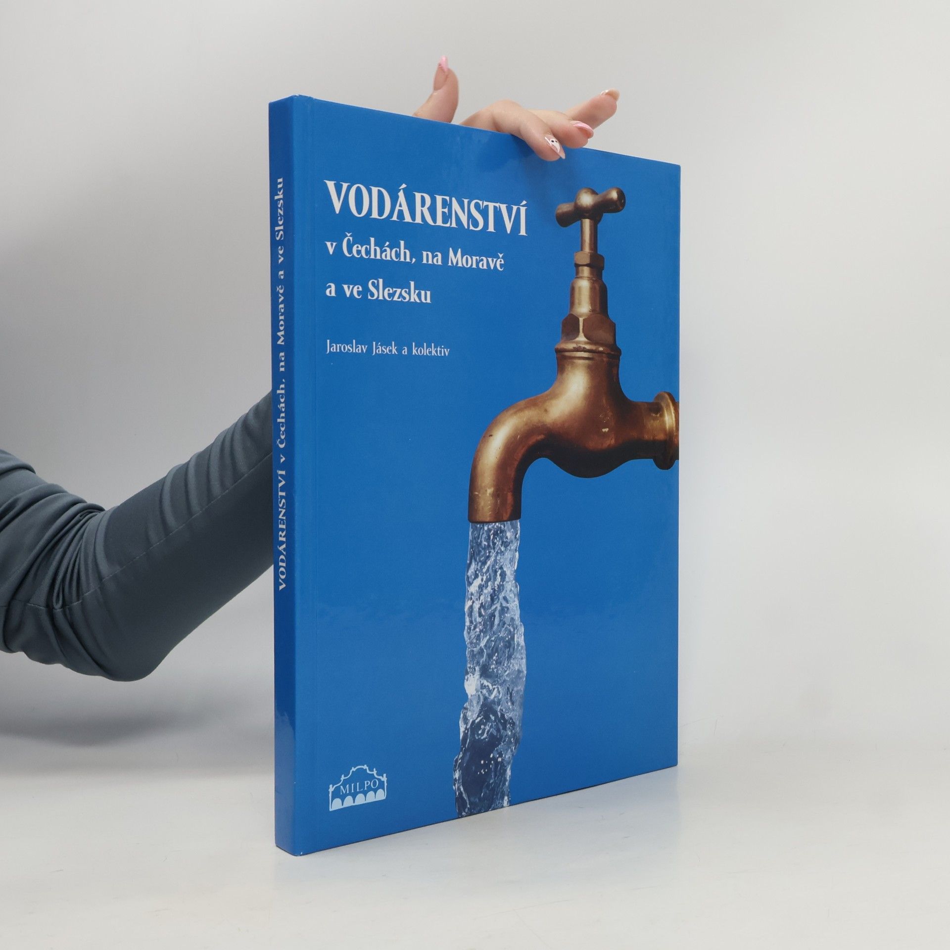 Vodárenství v Čechách, na Moravě a ve Slezsku