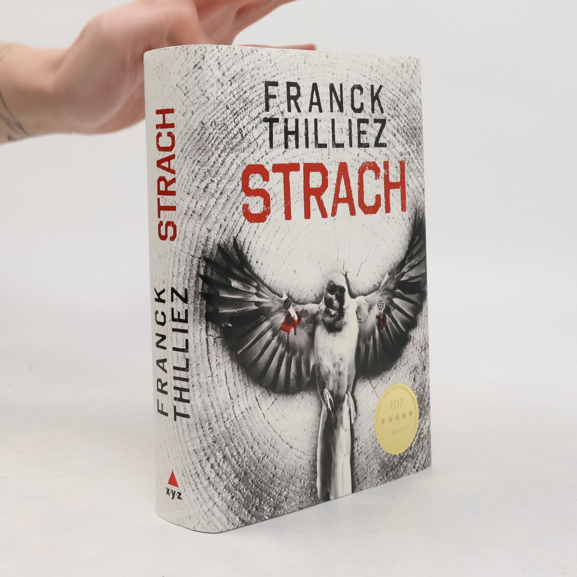 Franck Thilliez Strach