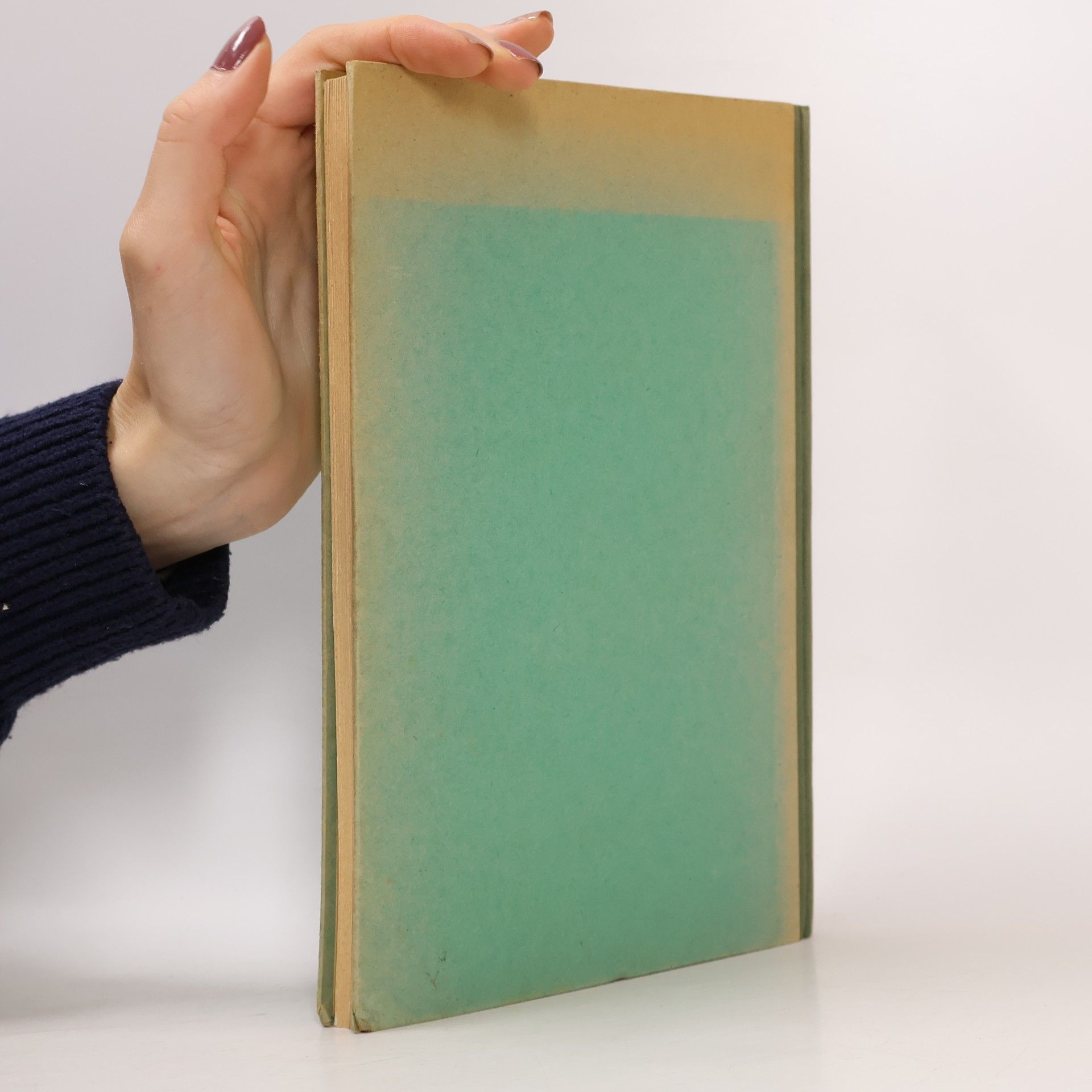 Autorenkollektiv Schwäbisches Heimatbuch