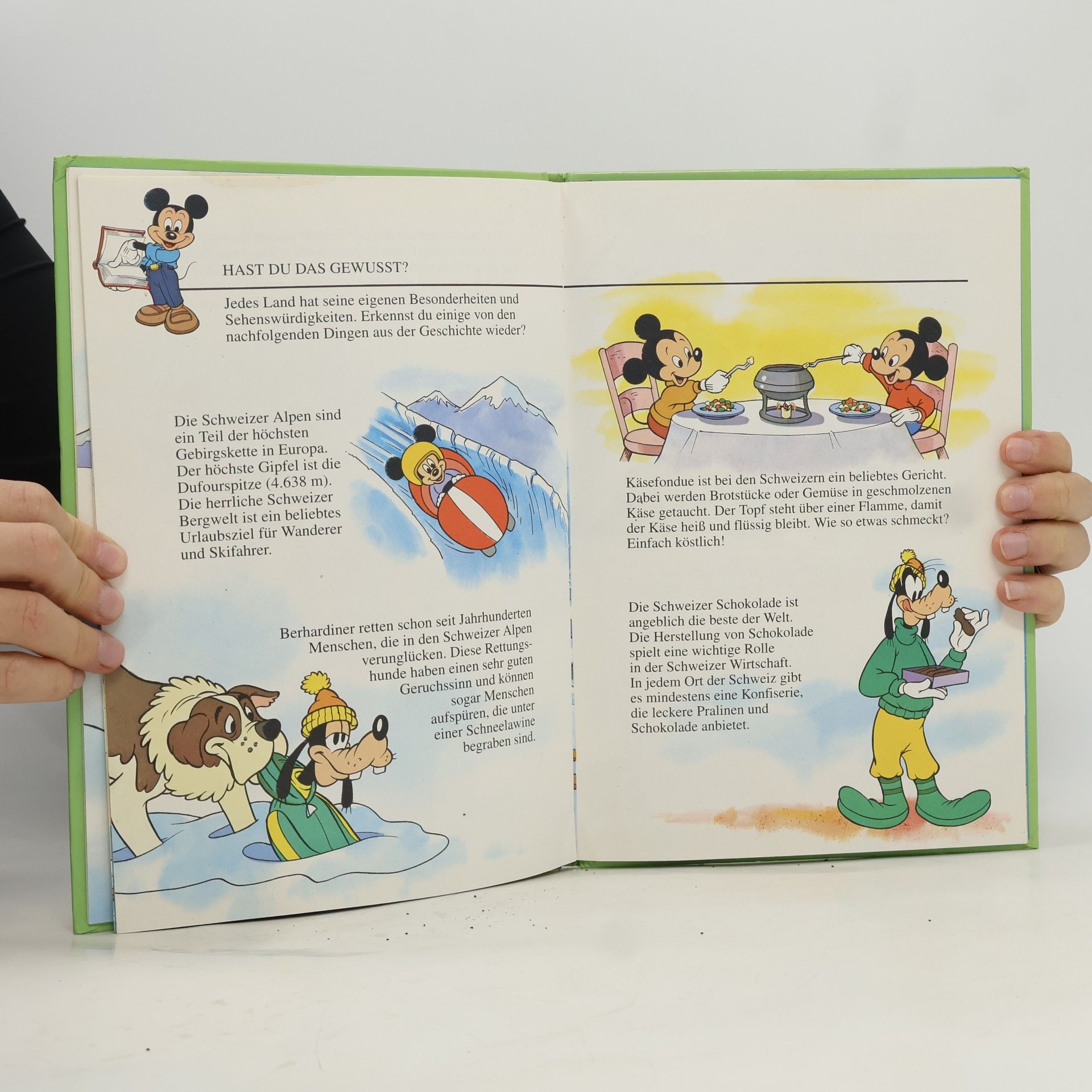 Walt Disney Wir, Tick, Trick und Track
