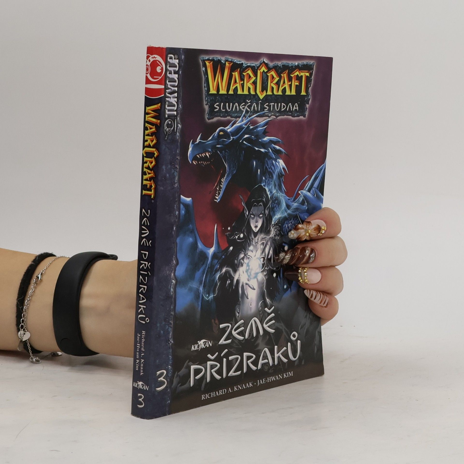 Warcraft :Sluneční studna. Díl 3, Země přízraků