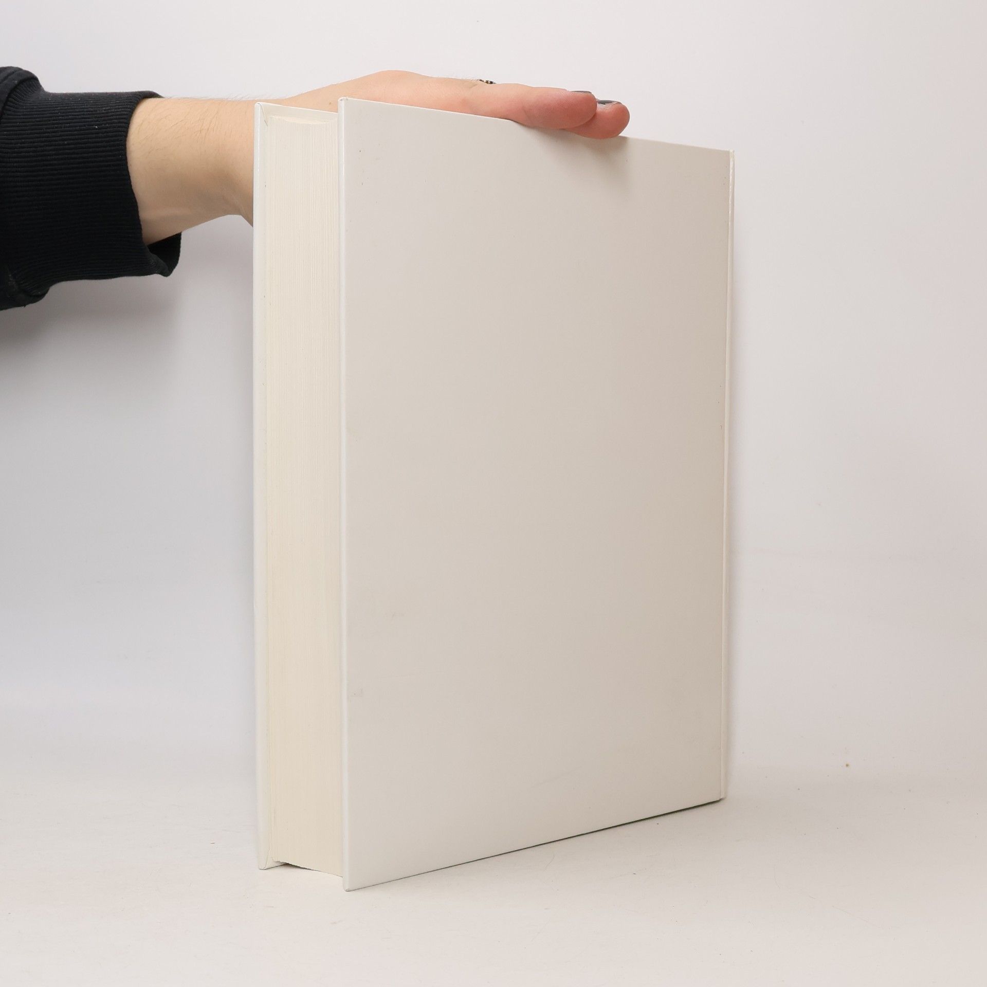 Gisela Hellenkemper Salies Das Wrack