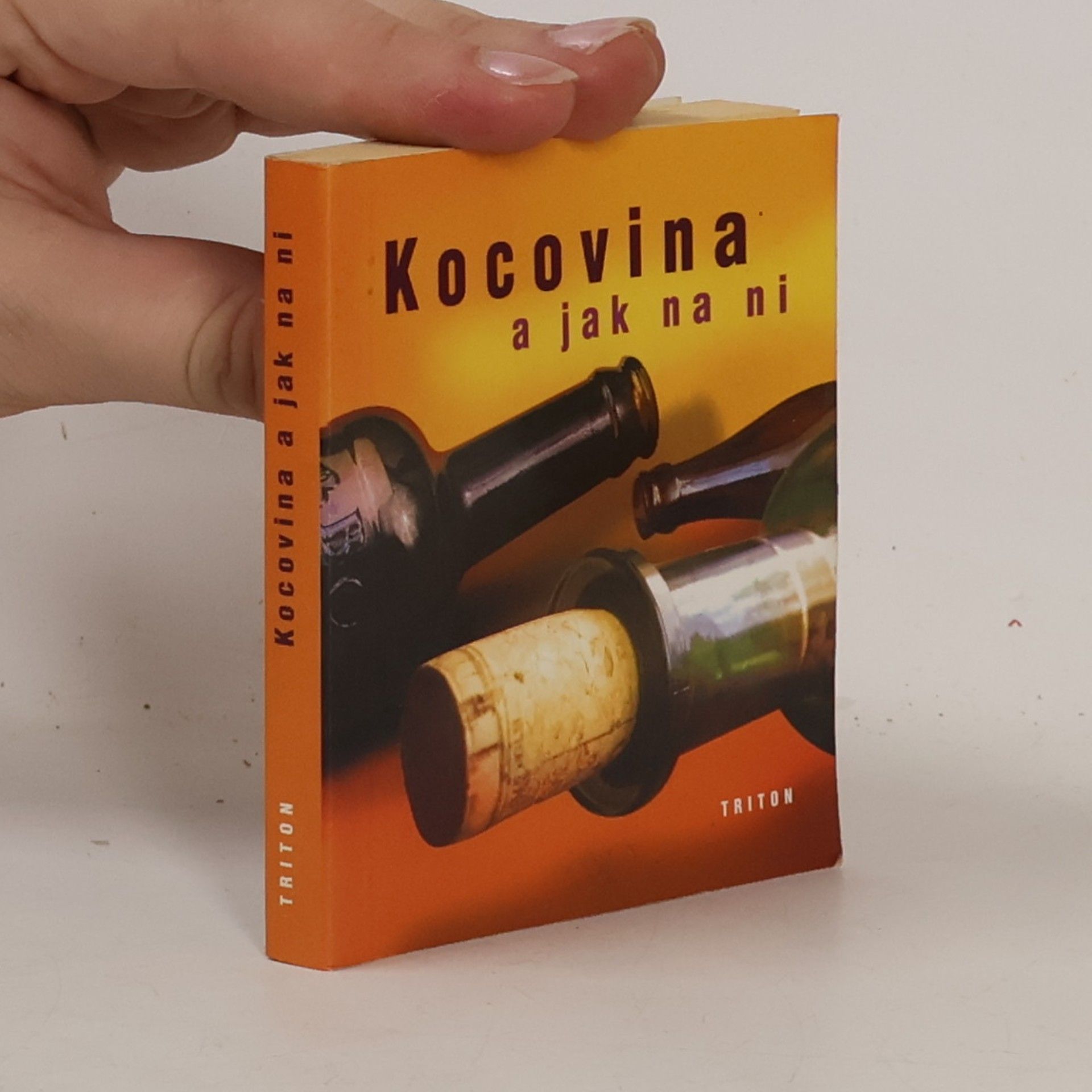 Kolektiv autorů Kocovina a jak na ni