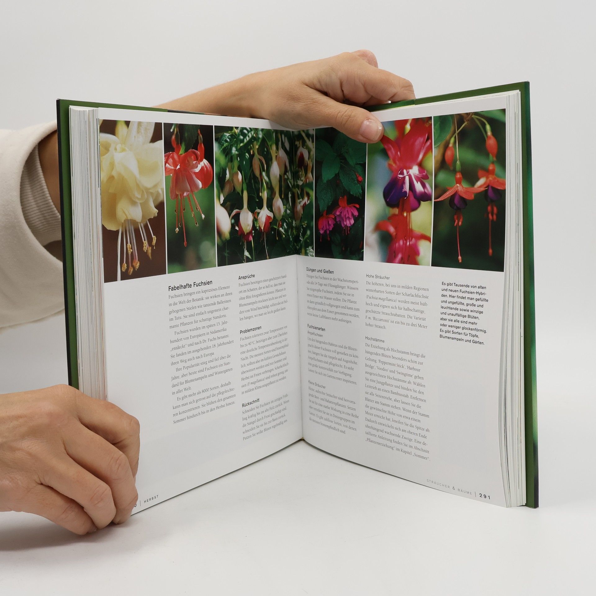 Meredith Kirton Das große Gartenhandbuch