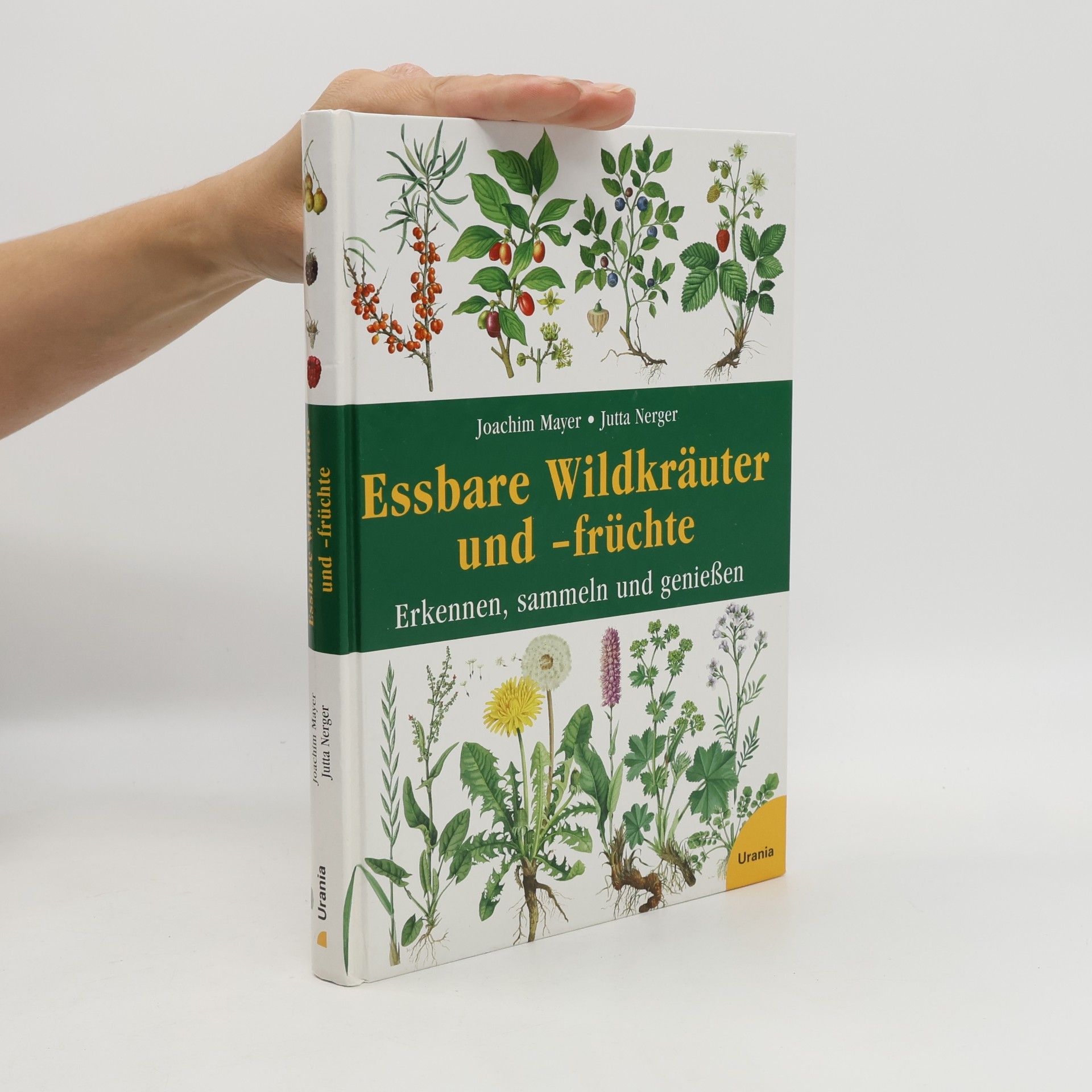 Essbare Wildkräuter und -früchte