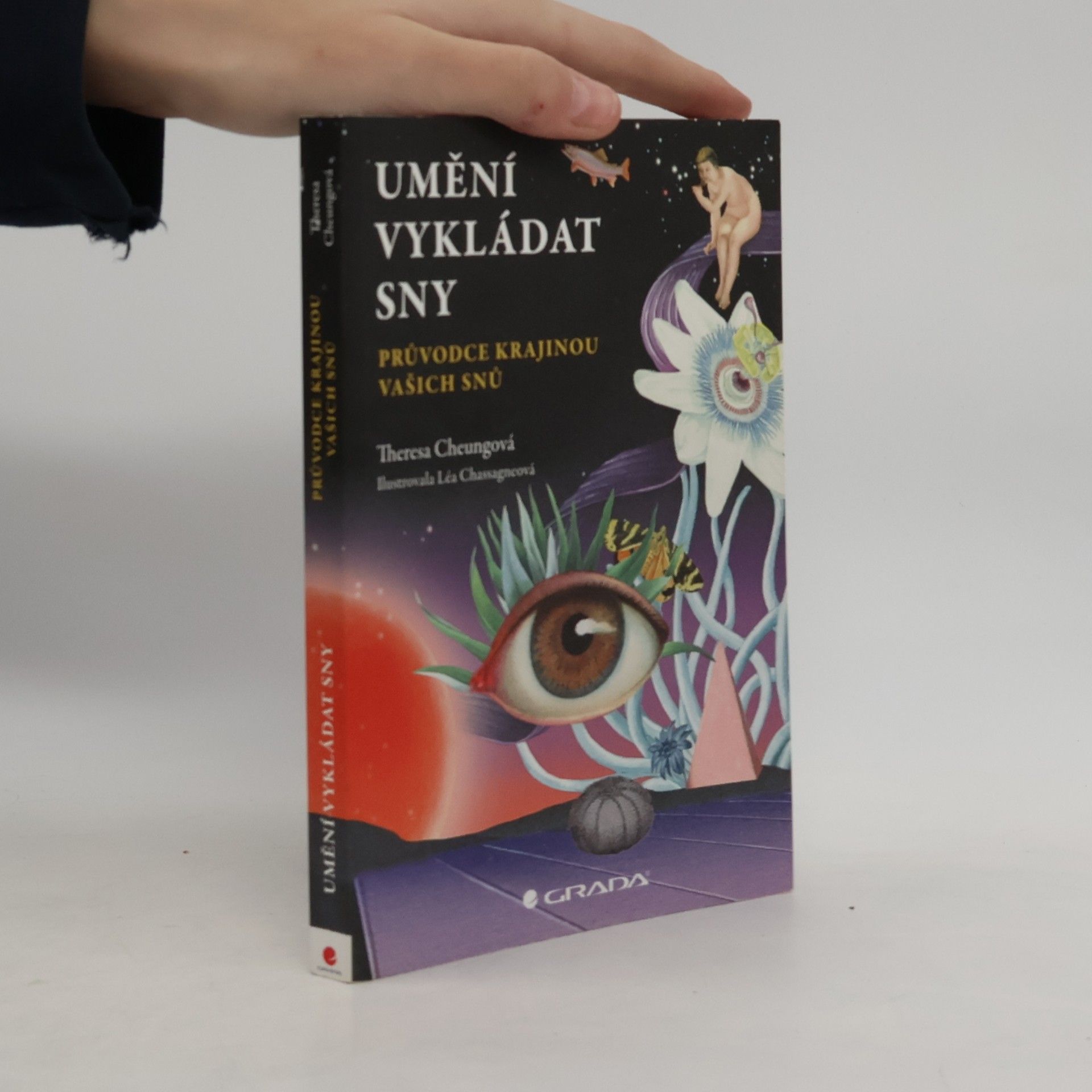 Umění vykládat sny: průvodce krajinou vašich snů