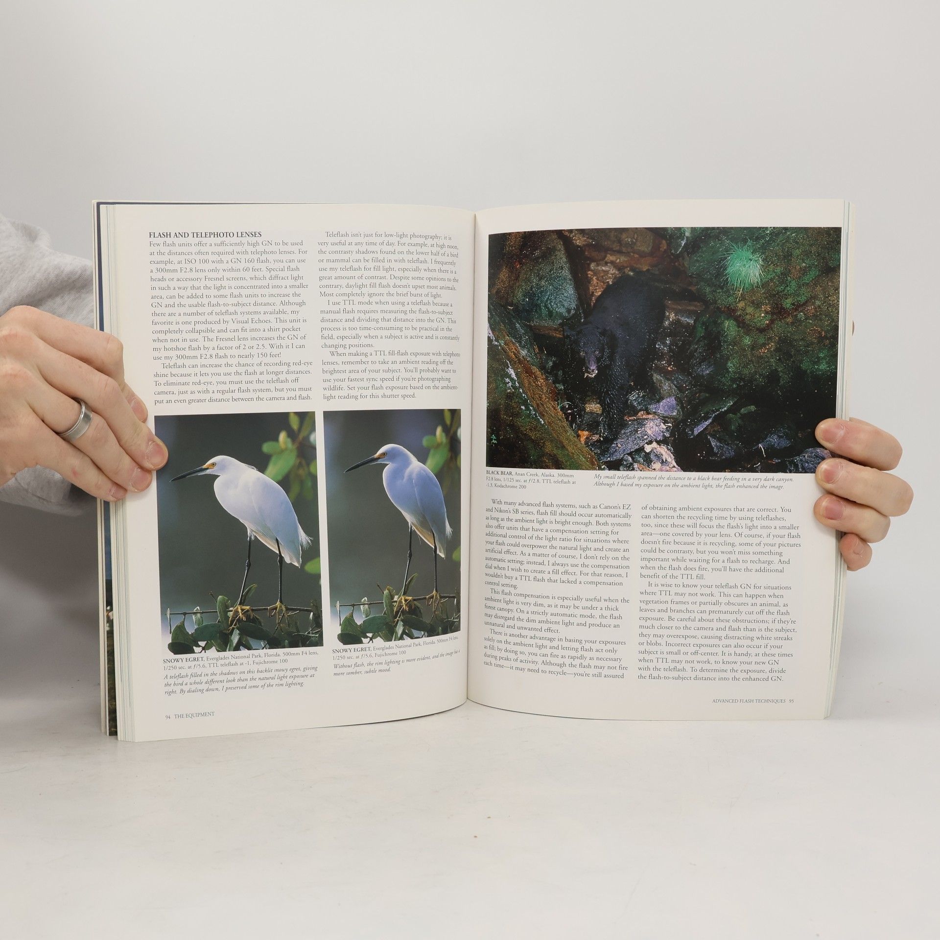 Joe McDonald New Complete Guide to Wildlife Photography