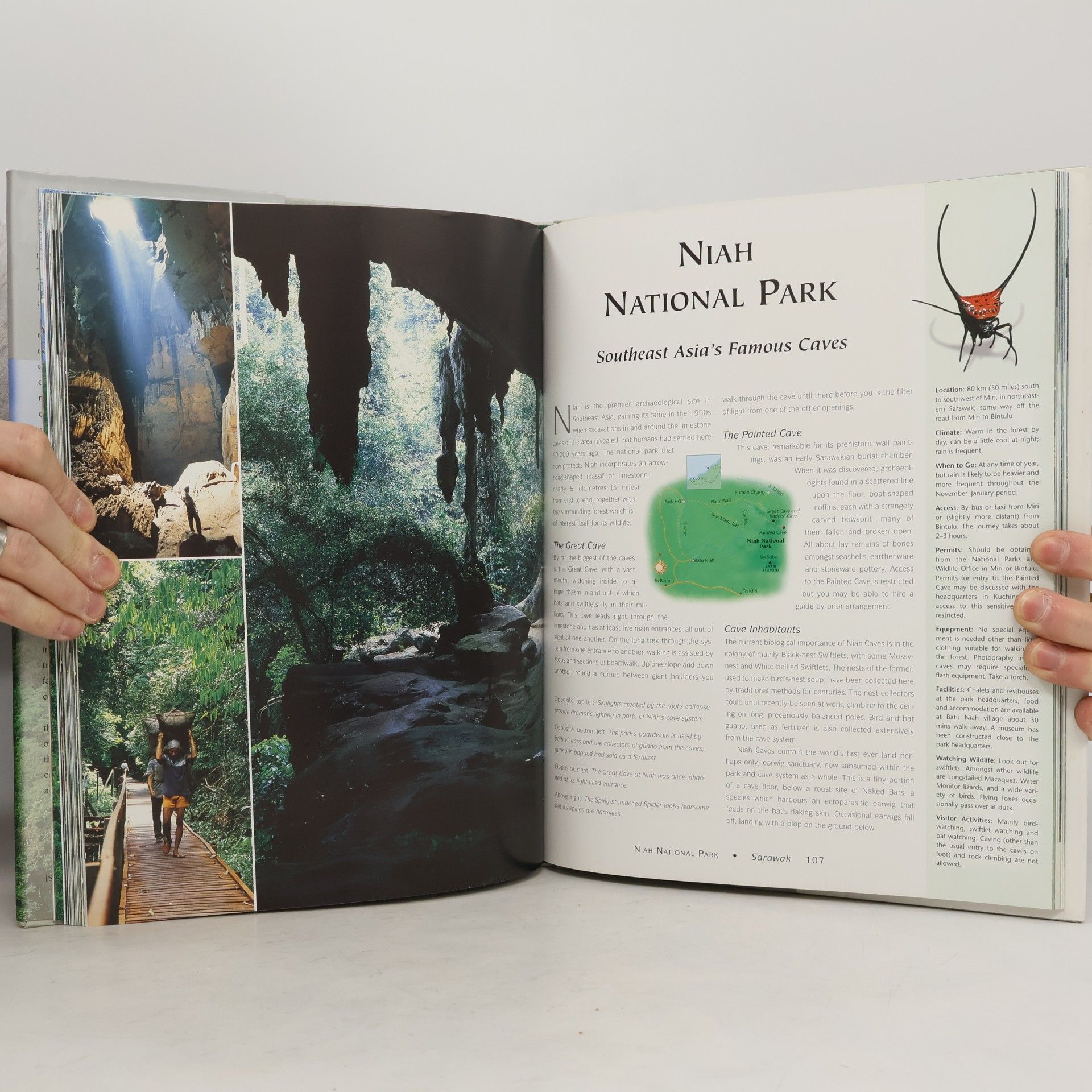 World Wildlife Fund Malaysia National Parks & Other Wild Places: The National Parks and Other Wild Places of Malaysia