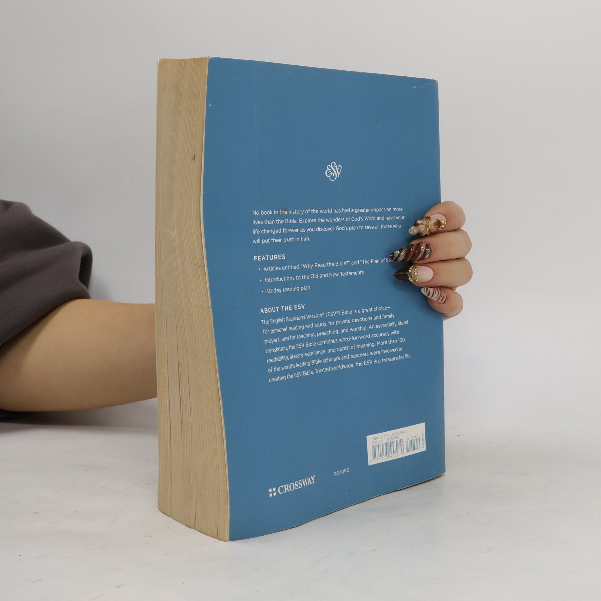 ESV Economy Bible, Giant Print